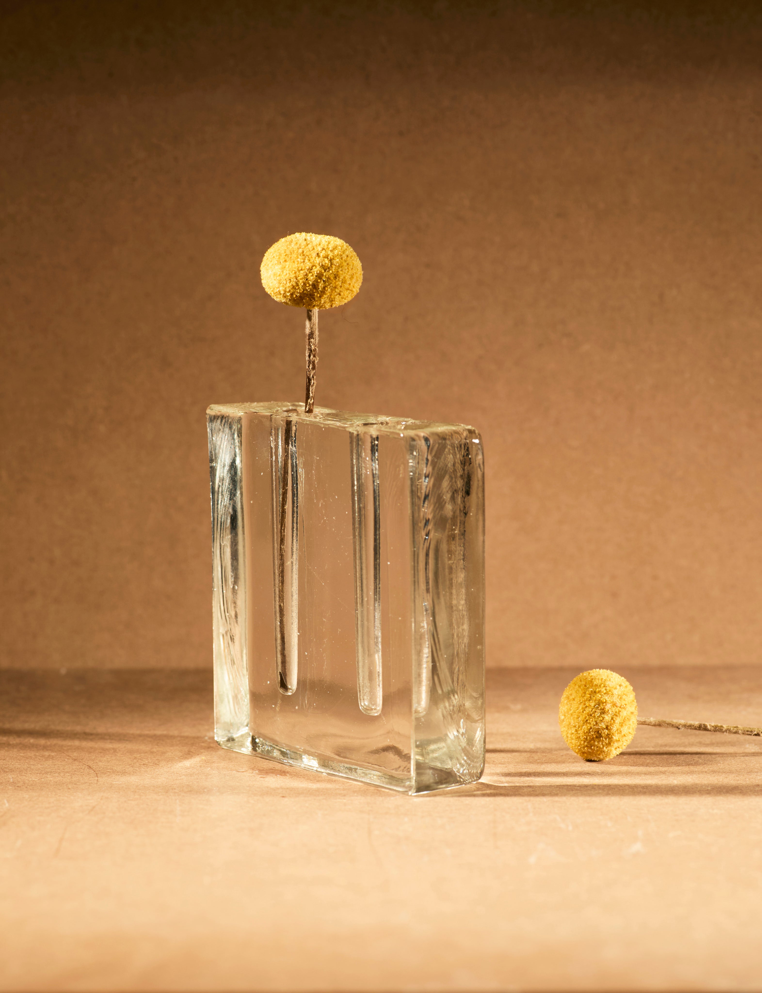 Vintage Scandinavian Clear Vase in Glass c. 1960 — front view with dried flowers