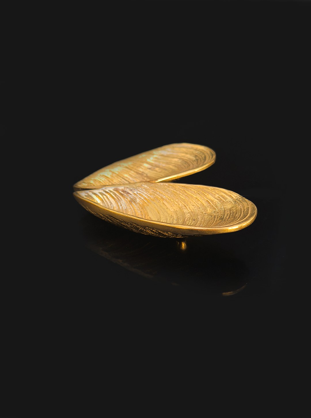 Brass Shell Vide Poche — top view of textured brass design