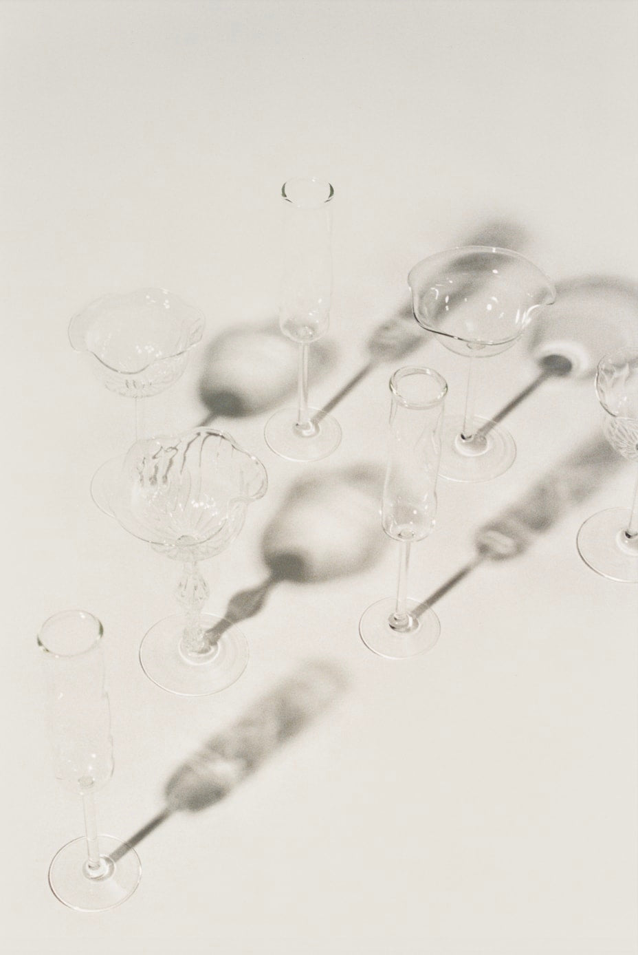 Camelopardalis Champagne Coupe