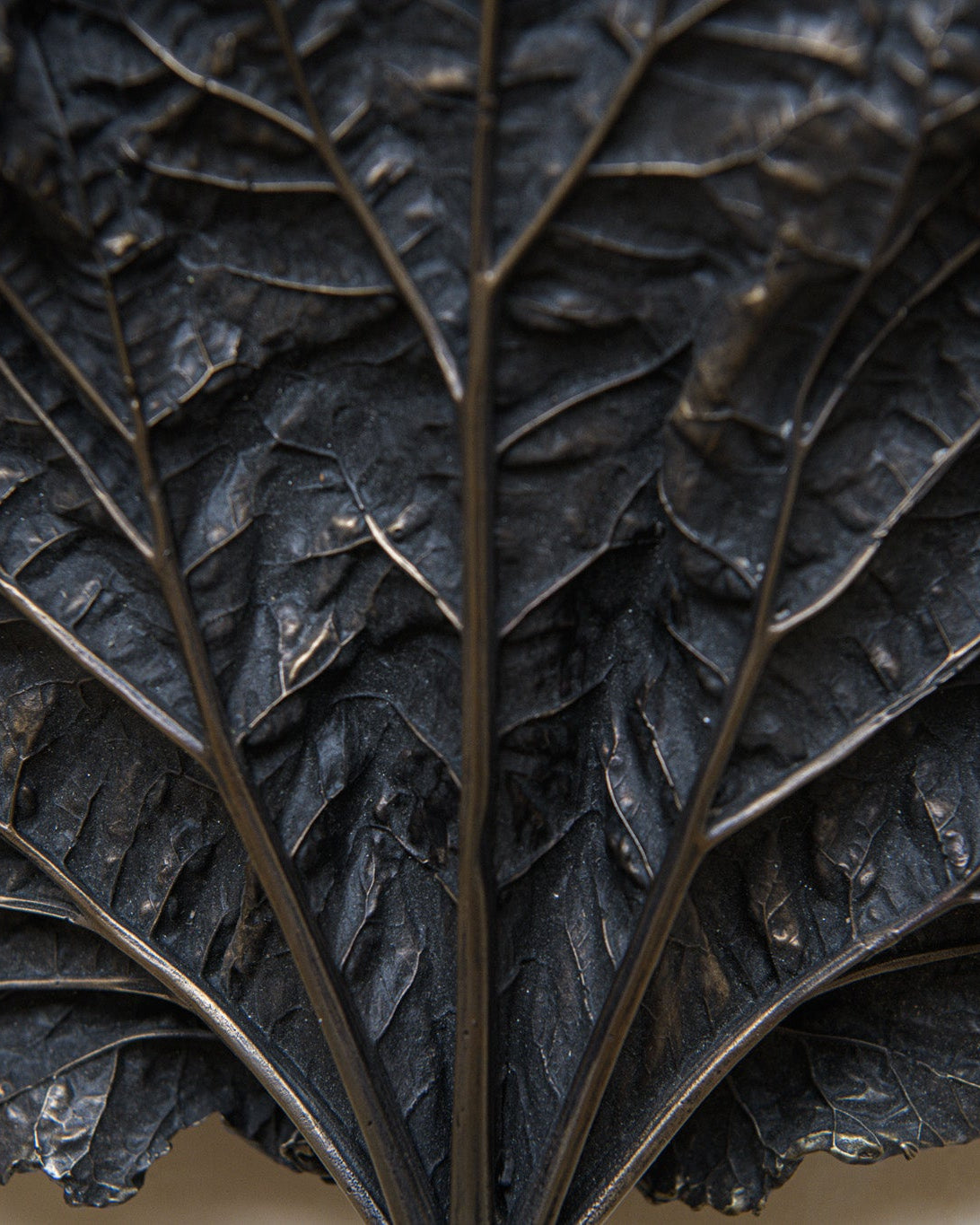 Bronze Rhubarb Wall Light