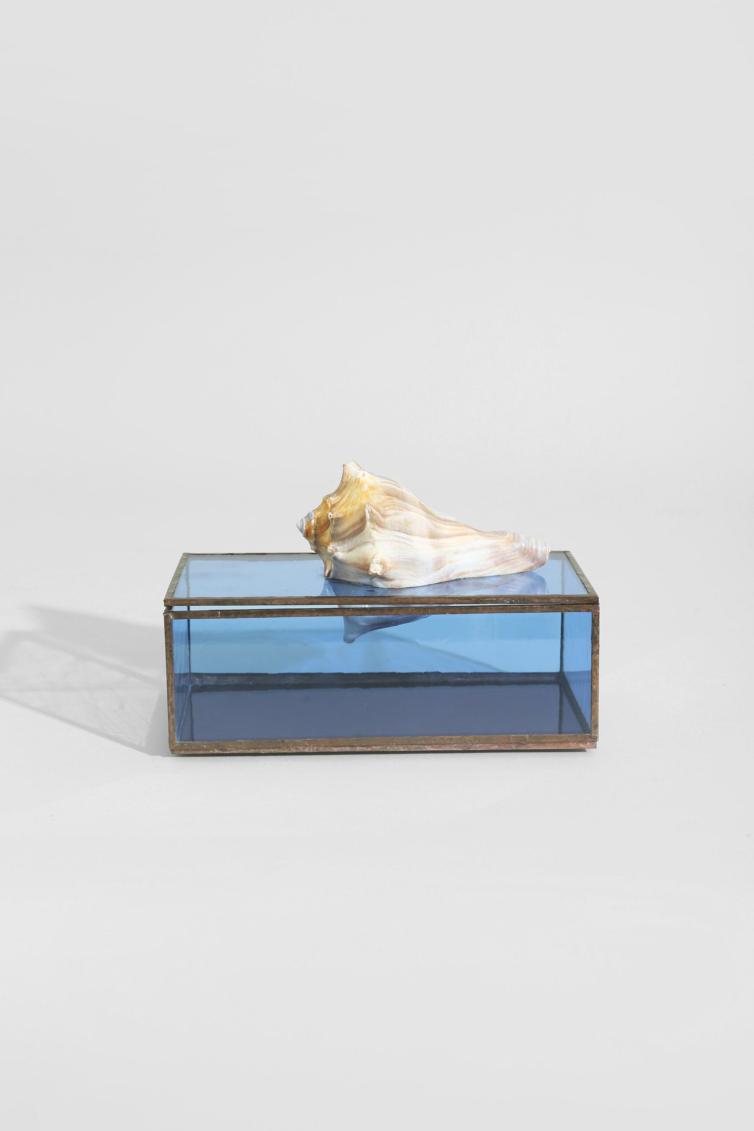 Shell Glass Jewelry Box — angled view with blue glass and shell on top