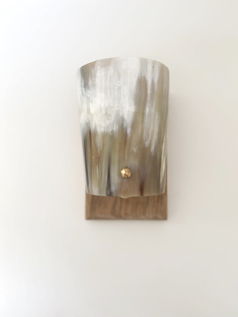 Arts and Crafts Wall Light in Oak and Horn - Horn Stud Collection — close-up of horn shade with wooden base