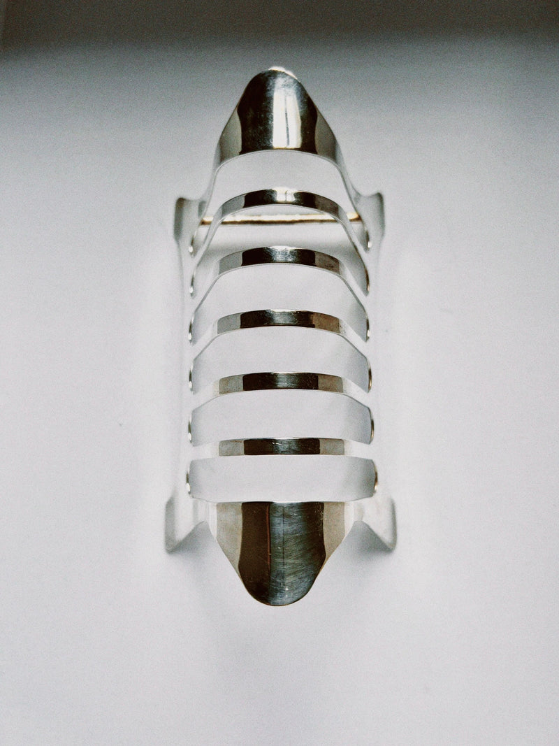 The Manushi Silver Toast Rack features a shiny, curved silver design with multiple horizontal slits, resembling a modern toast rack and displayed on a white background.