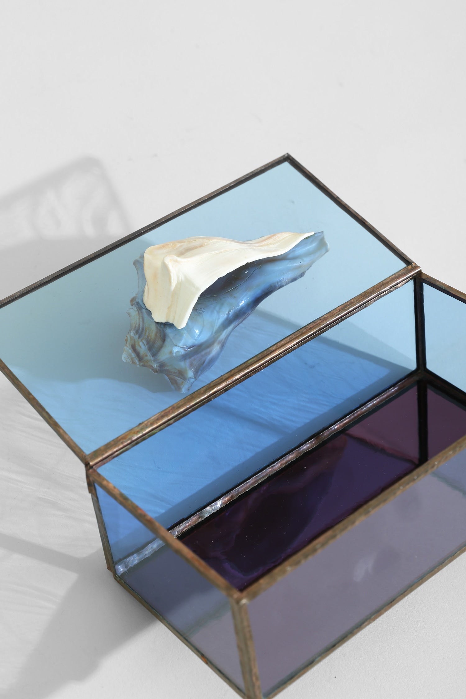 Shell Glass Jewelry Box — back view with blue and purple glass panels