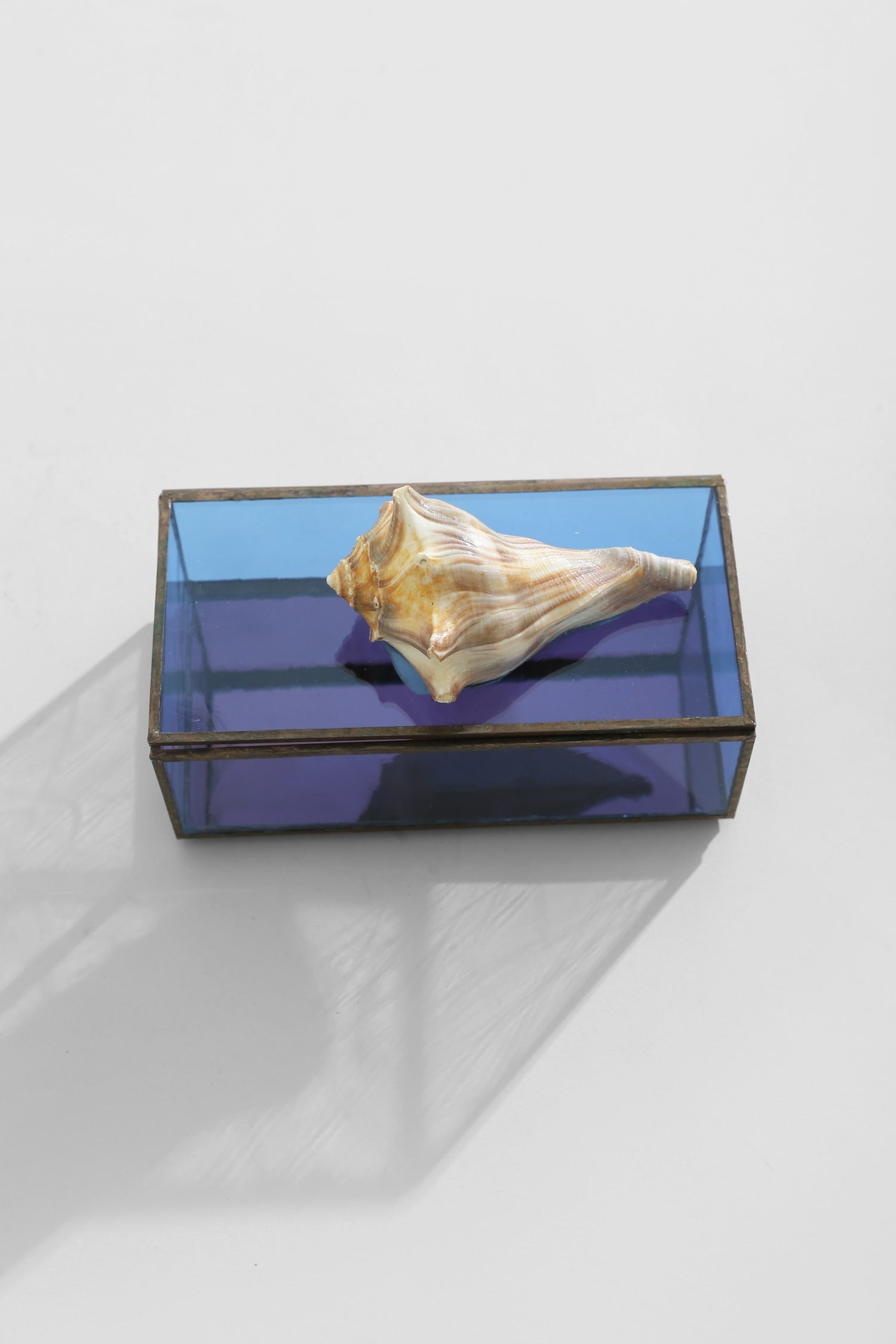 Shell Glass Jewelry Box — top view with shell on blue glass