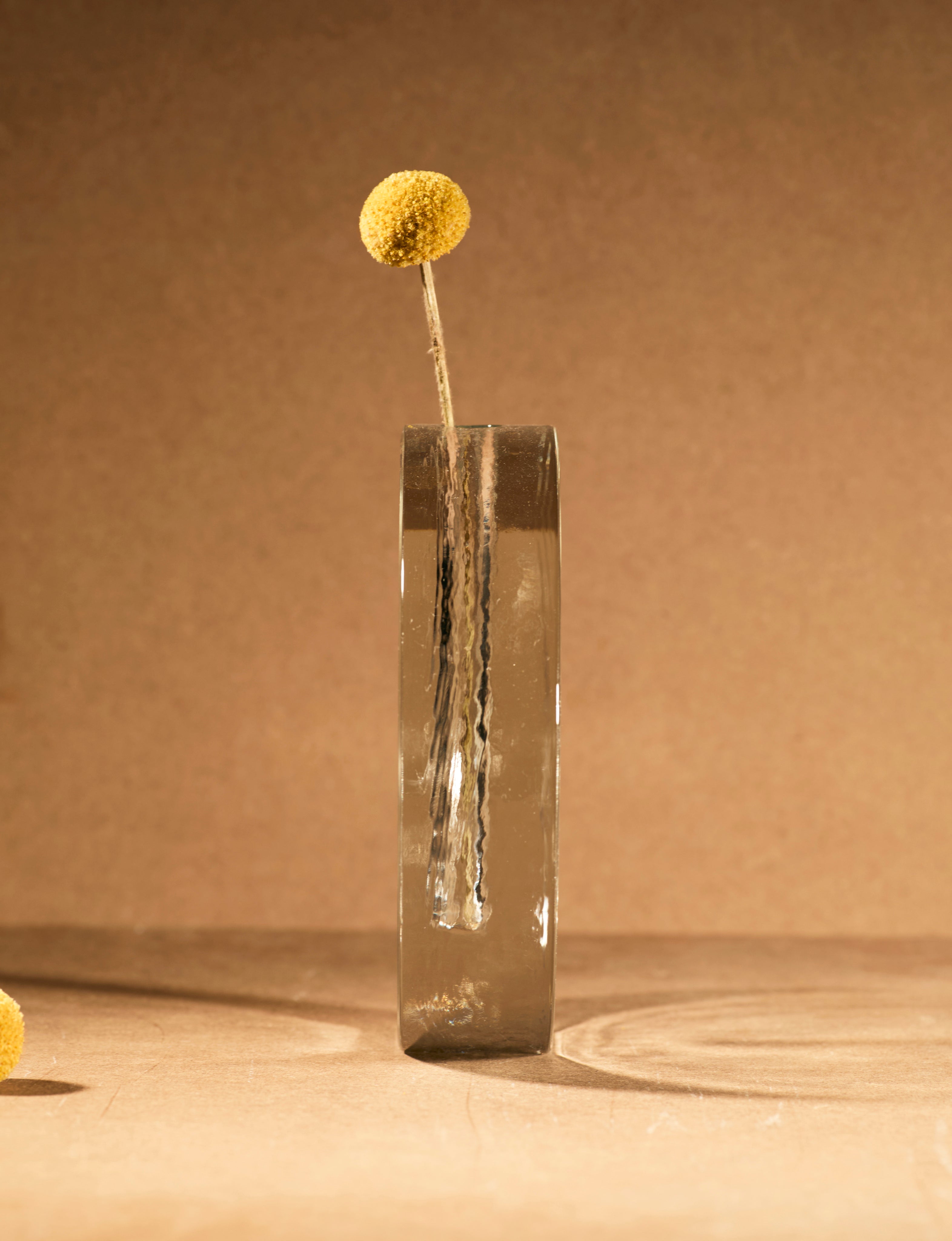 Vintage Scandinavian Clear Vase in Glass — front view with dried flower
