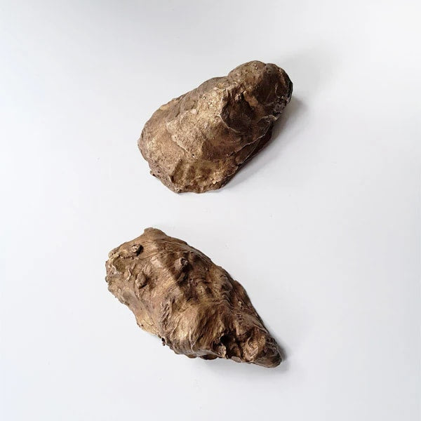 Bronze Oyster Sculptures