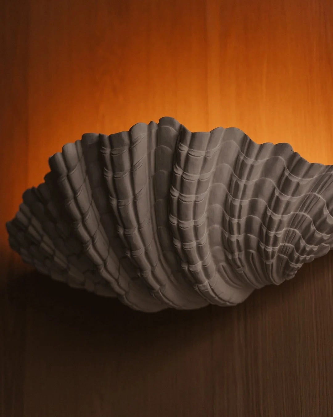 Wall Lamp - Model Coquillage