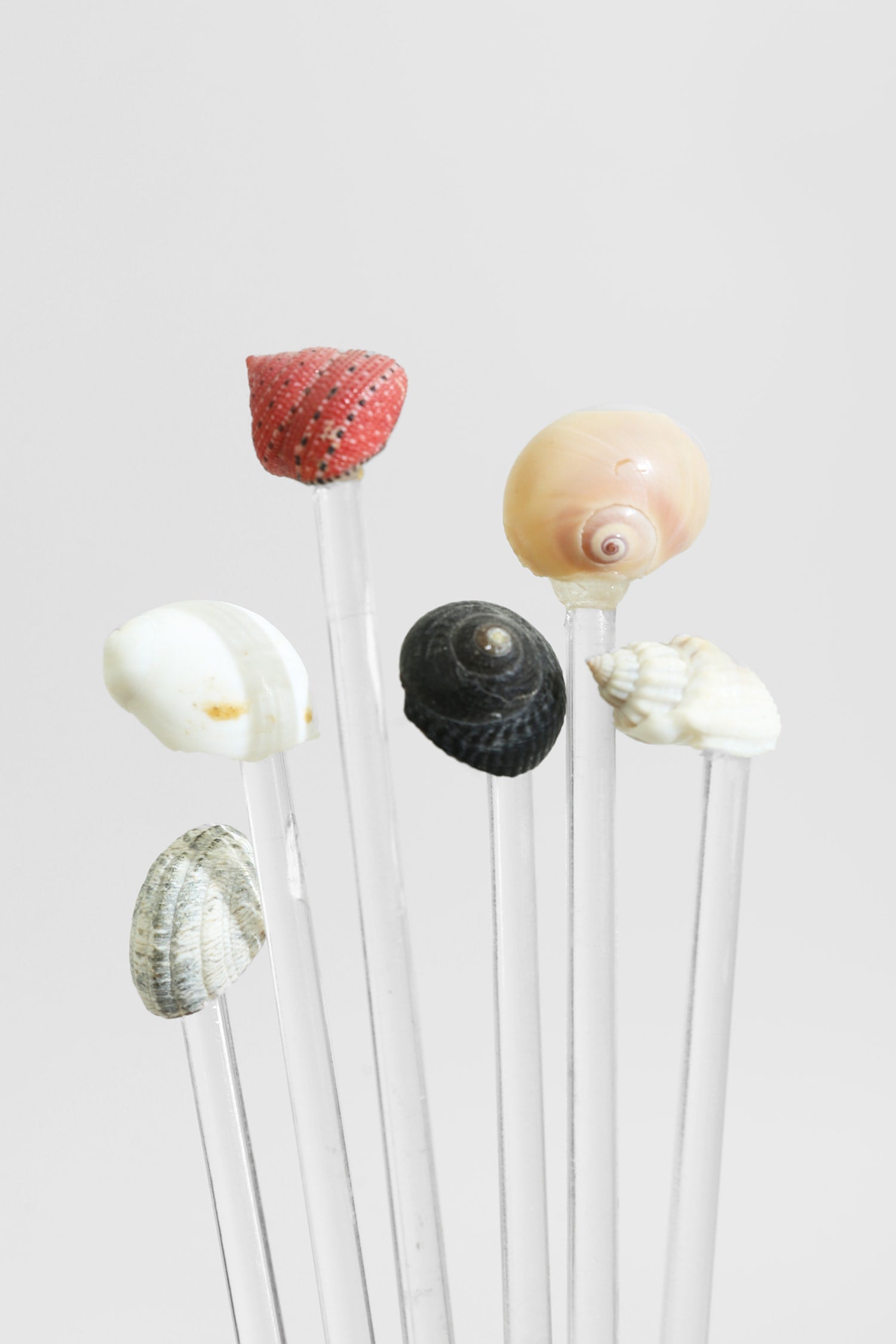 Shell Swizzle Set — detail view