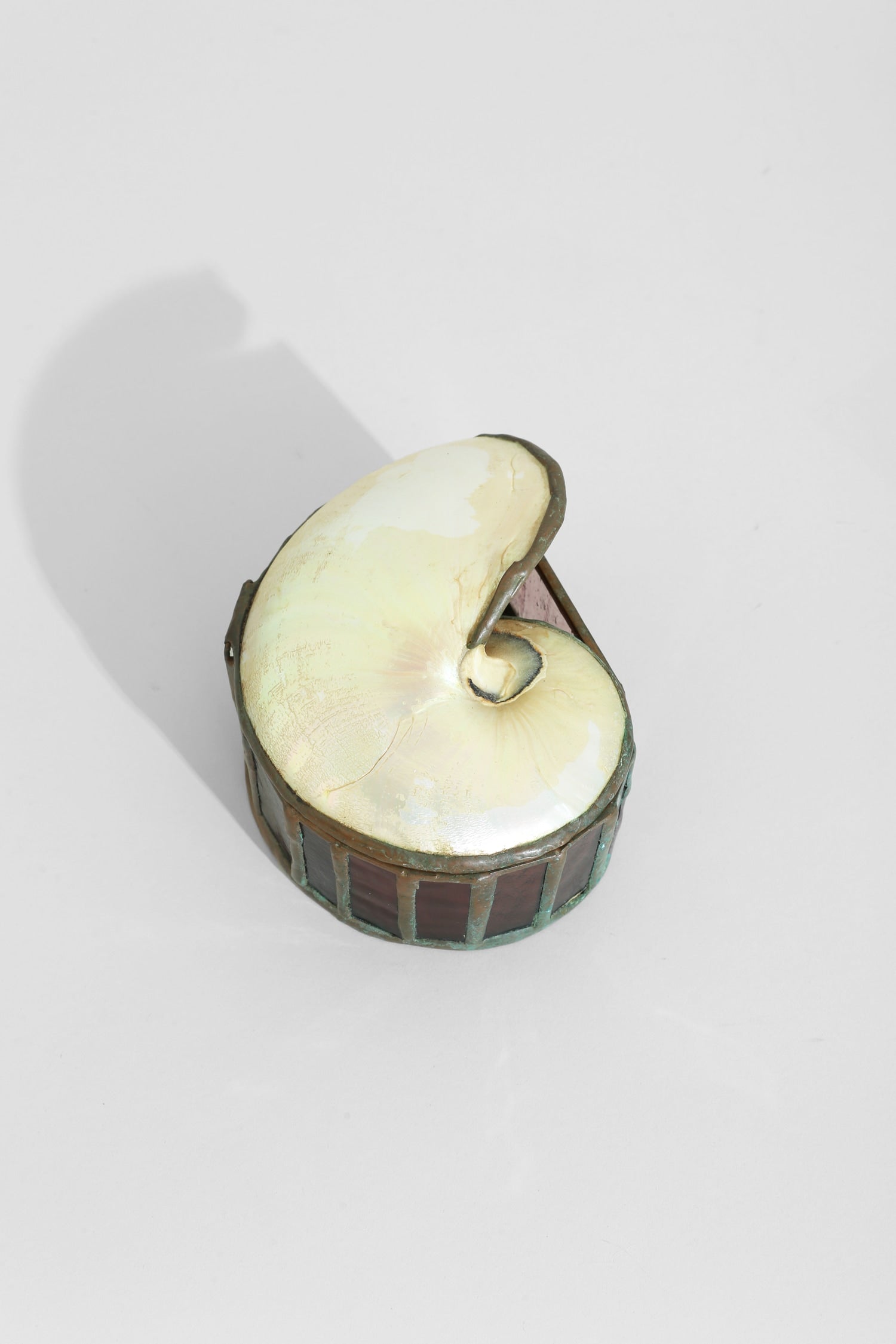 Nautilus Shell Jewelry Box — lifestyle setting