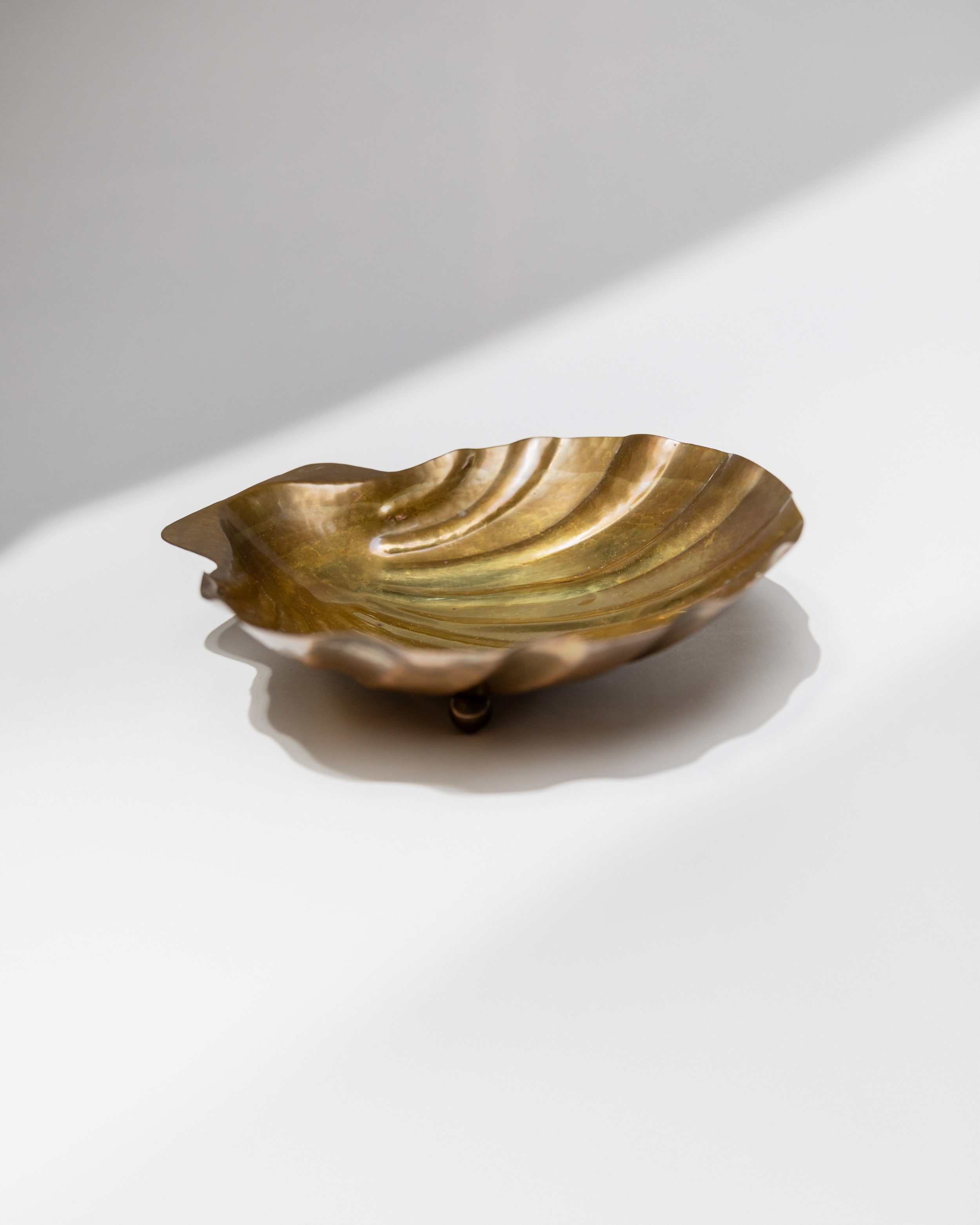 Brass shell-shaped bowl showing ridged interior detail by Renzo Cassetti