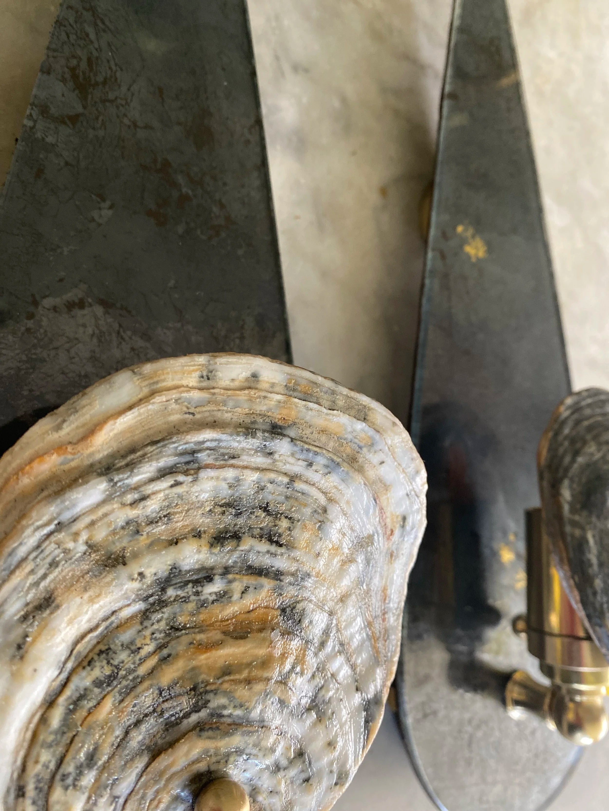 Tear Drop Sconce with Norfolk Oyster, 23KT Gold and Oxidised Silver — side angle highlighting oyster detail and dark metal