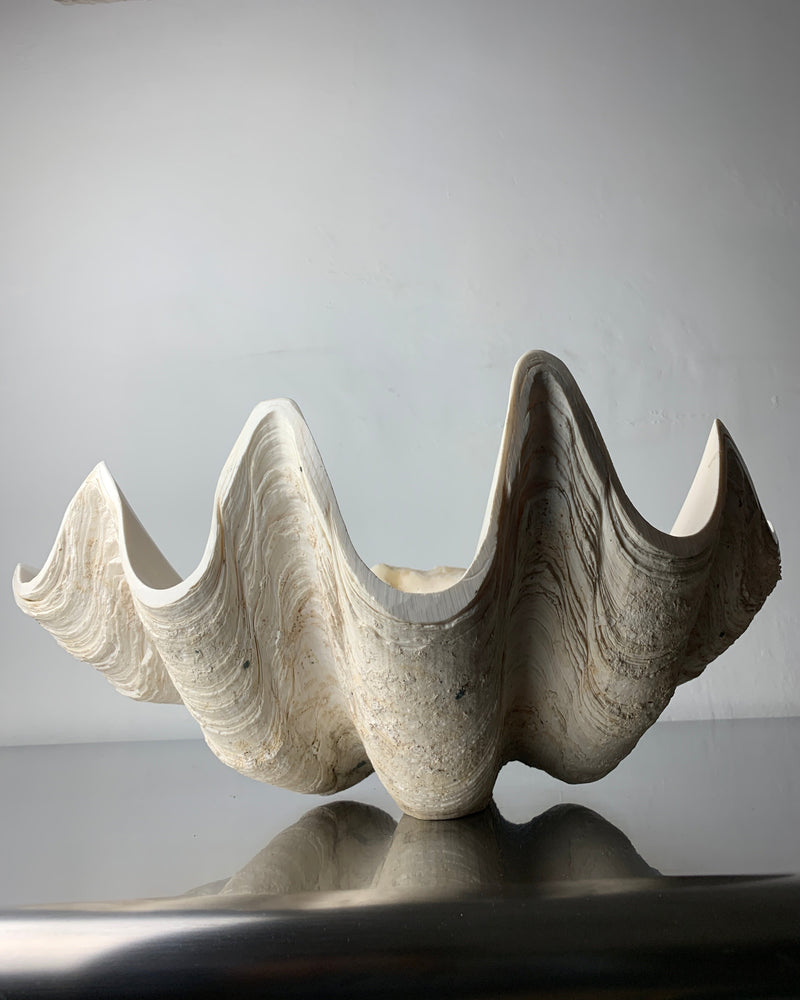 Vide-poche XL Coquillage en plâtre, Italie, 1970