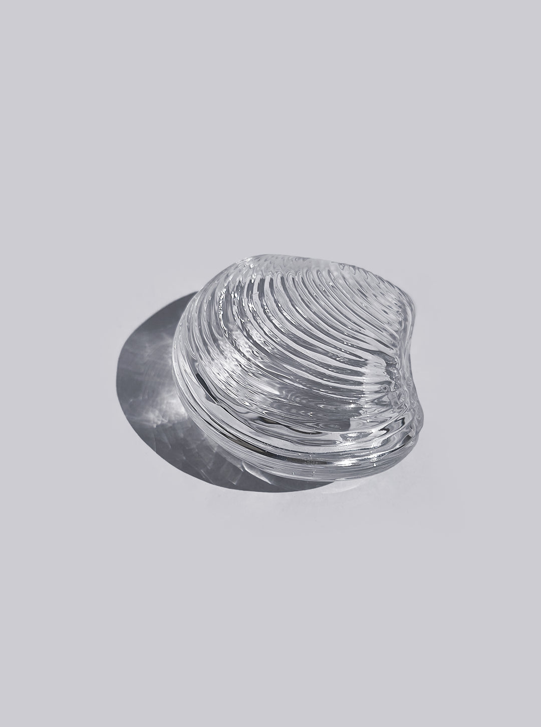 Shell Glass Box by Les Objoies | The Oblist