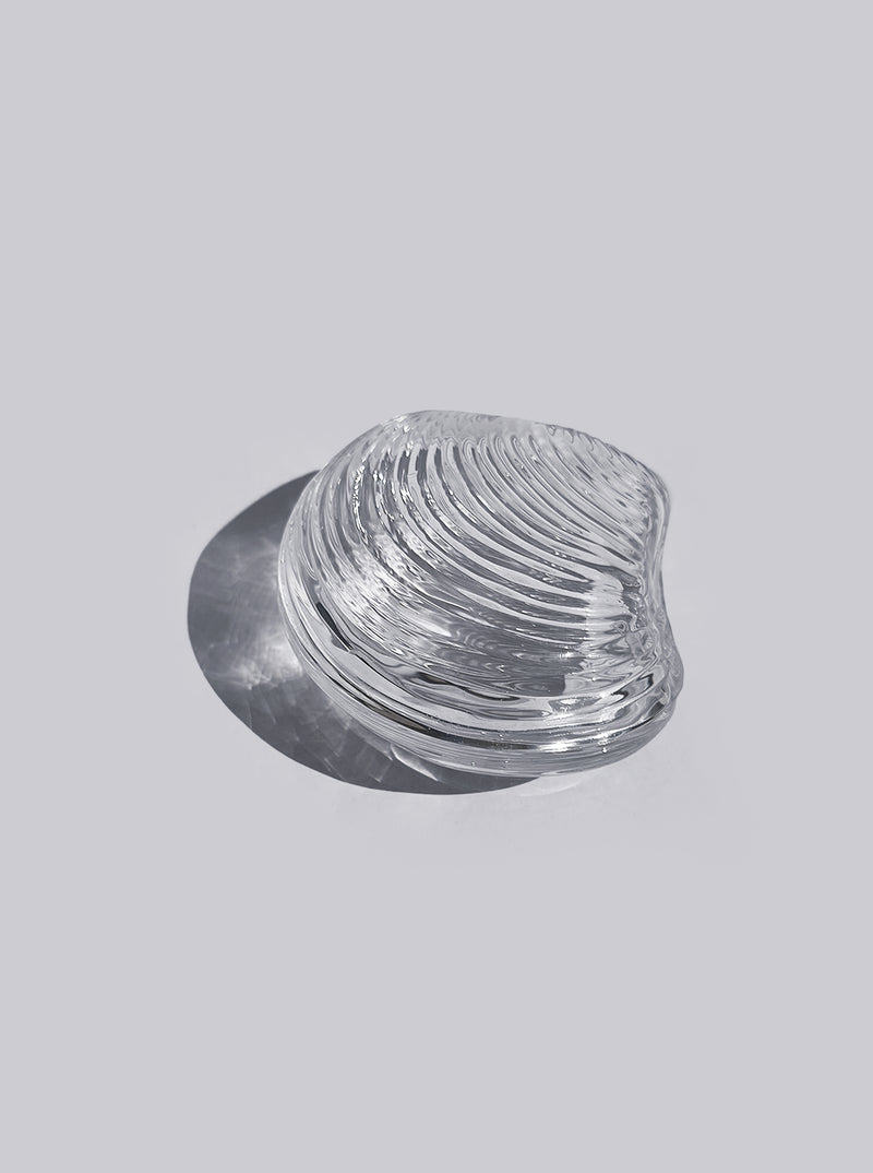Shell Glass Box by Les Objoies | The Oblist
