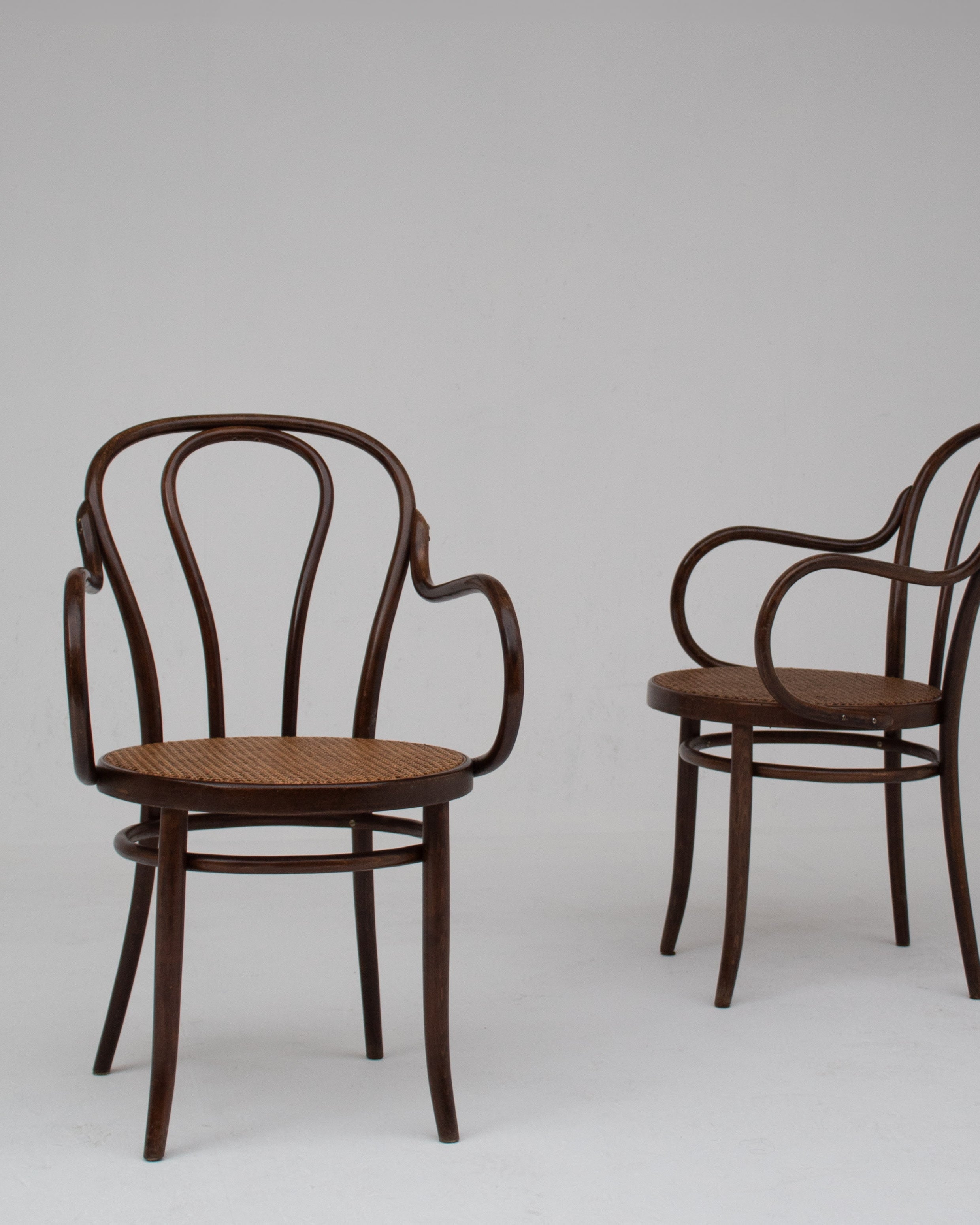 Set of Chair in Wood and Beech