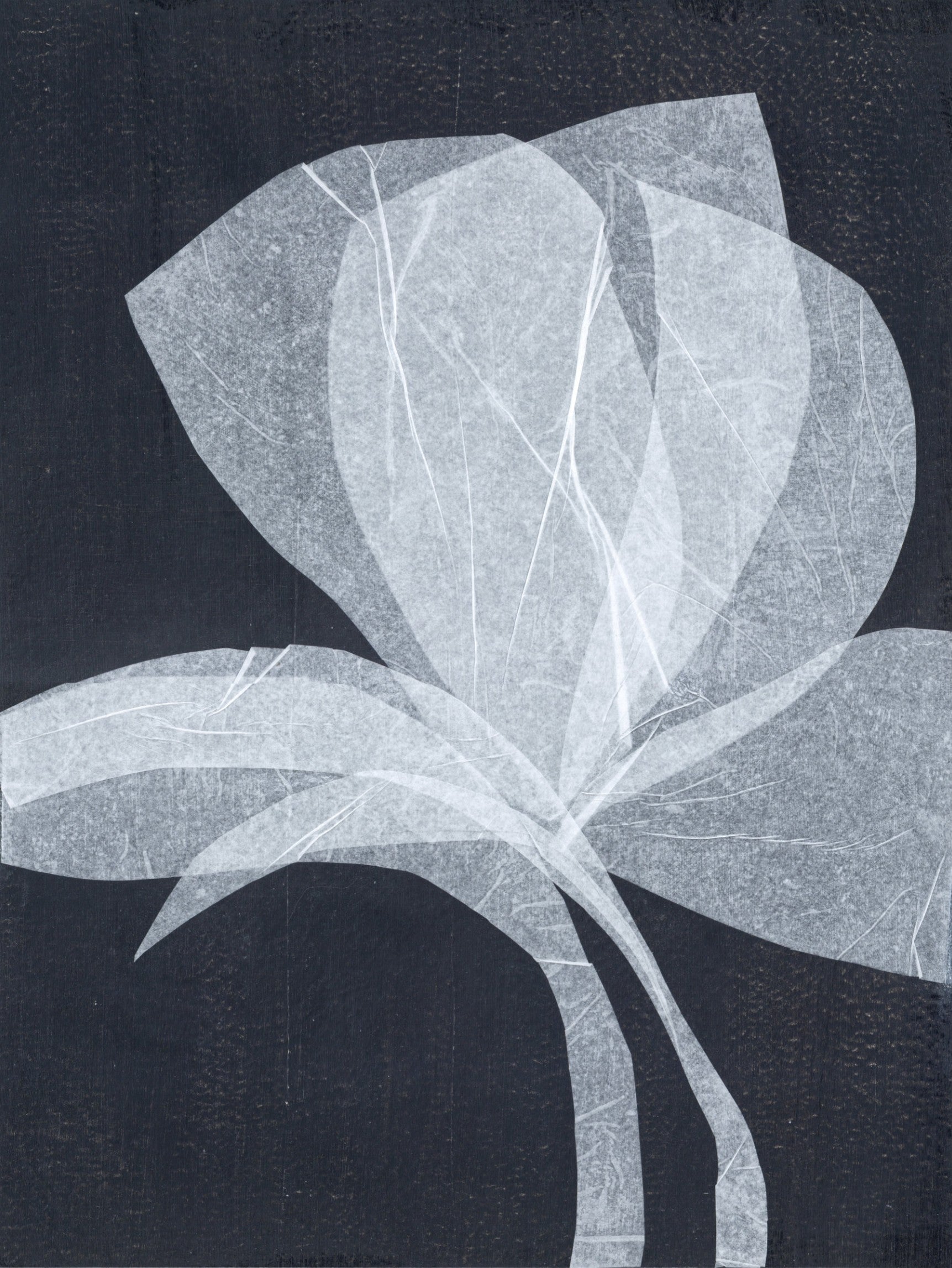 Winter Flowers — lifestyle setting