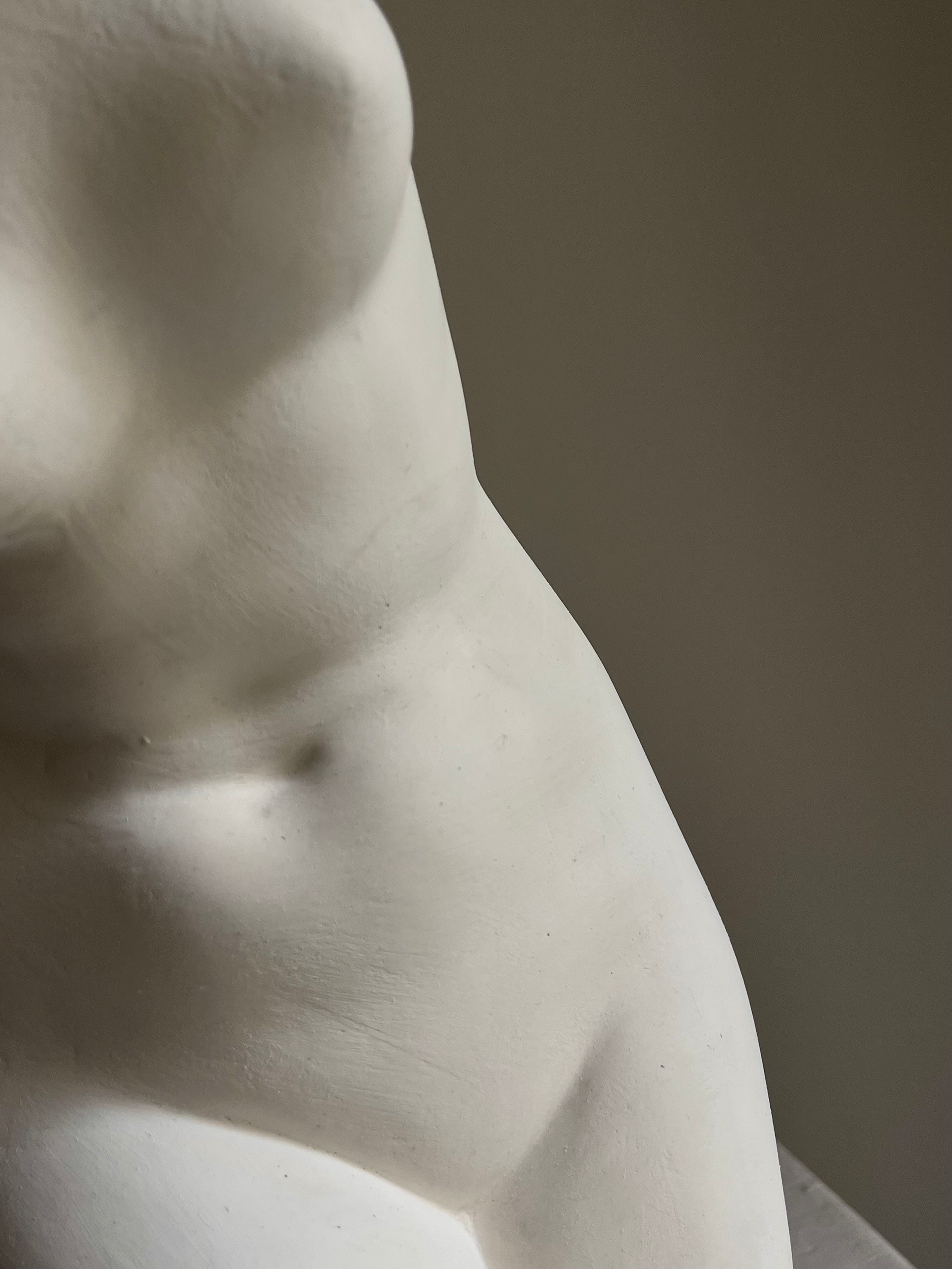 Venus Sculpture in Plaster — lifestyle setting
