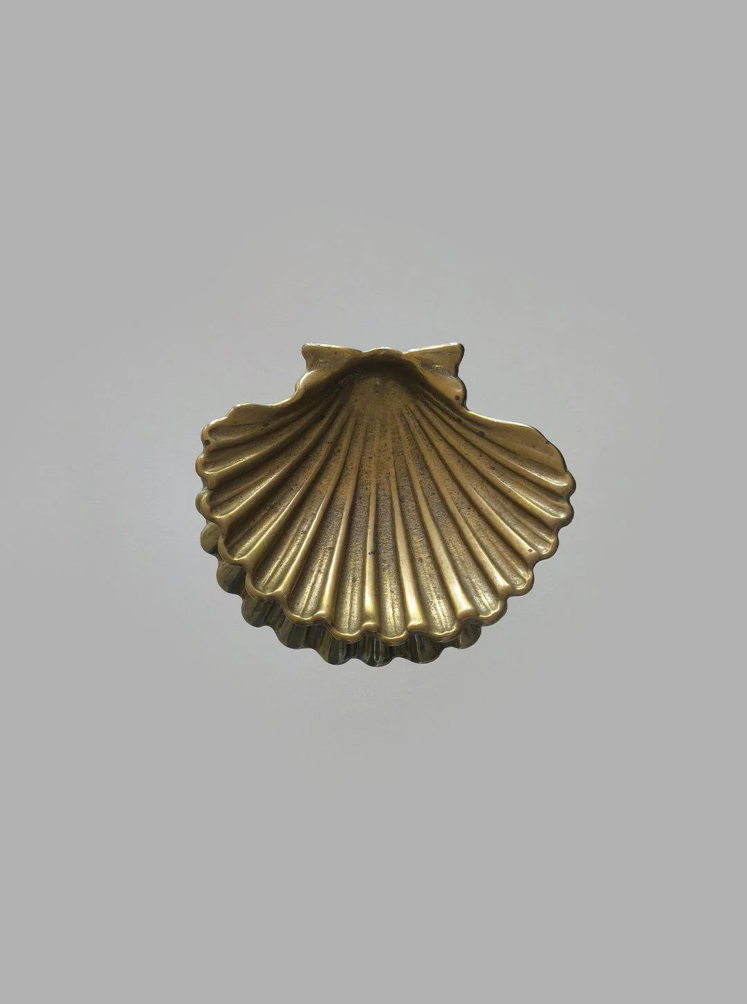 Shell Brass Vide-Poche — side angle