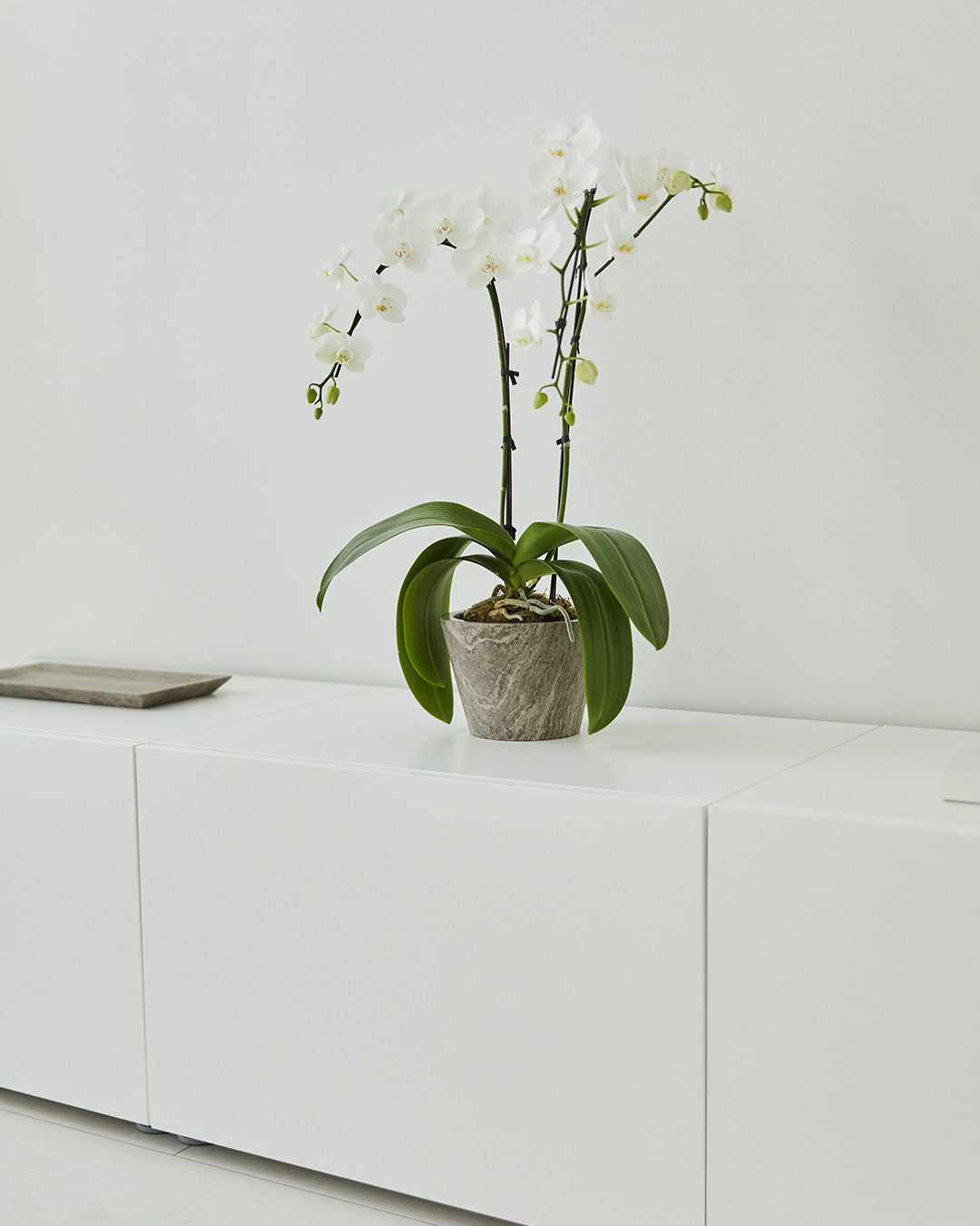 Rectangular Tray in Marble Stone