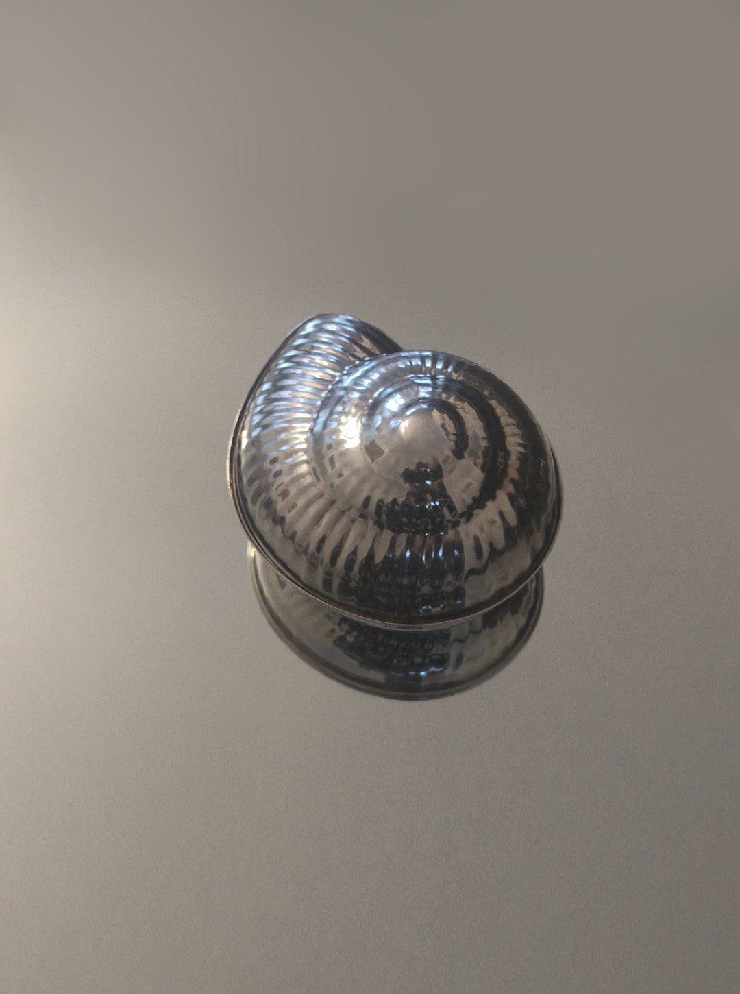 Silver-plated Shell Box — detail view