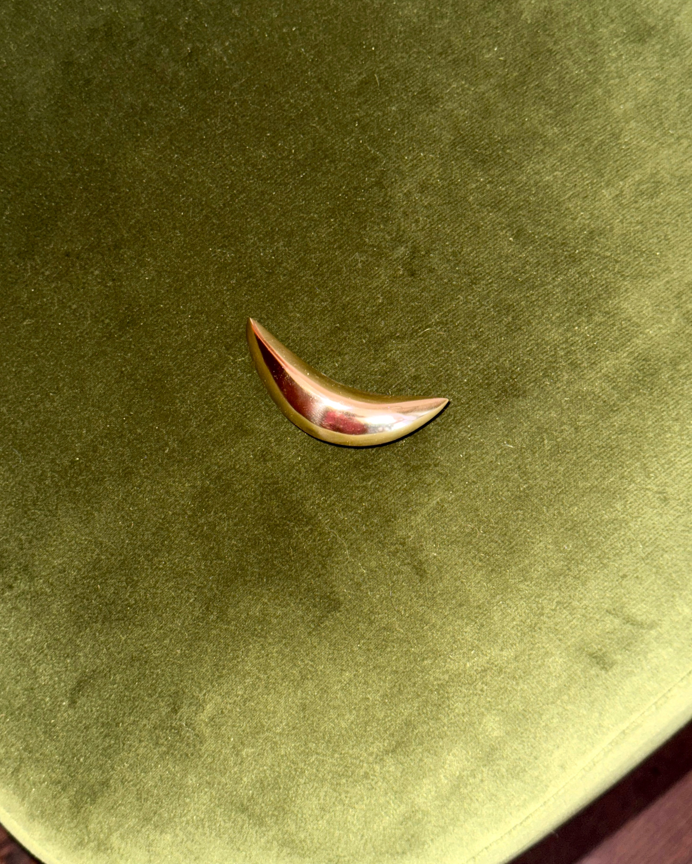 PETAL Knob/Hook — back view on green velvet surface