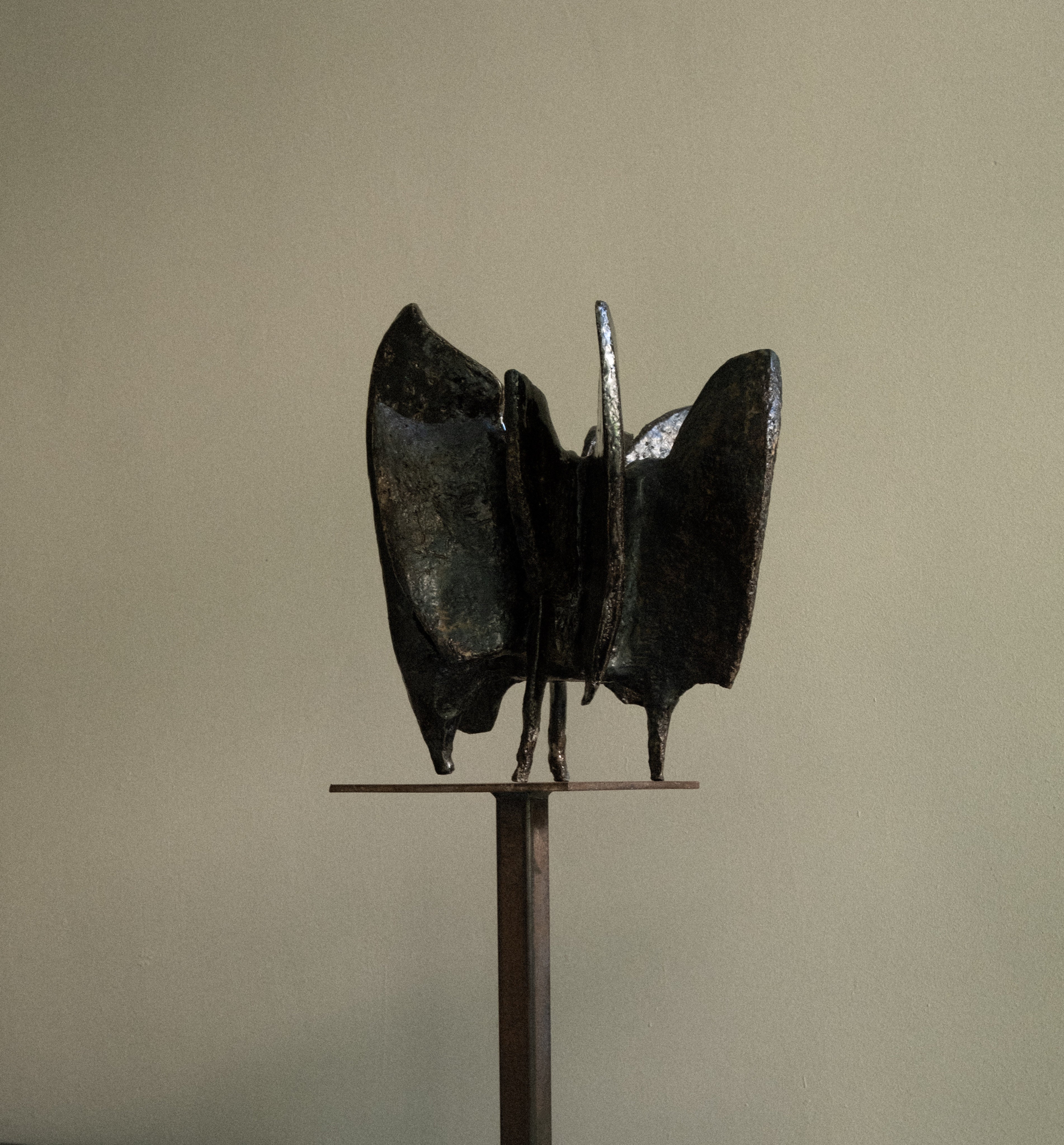Winged XII  — side angle