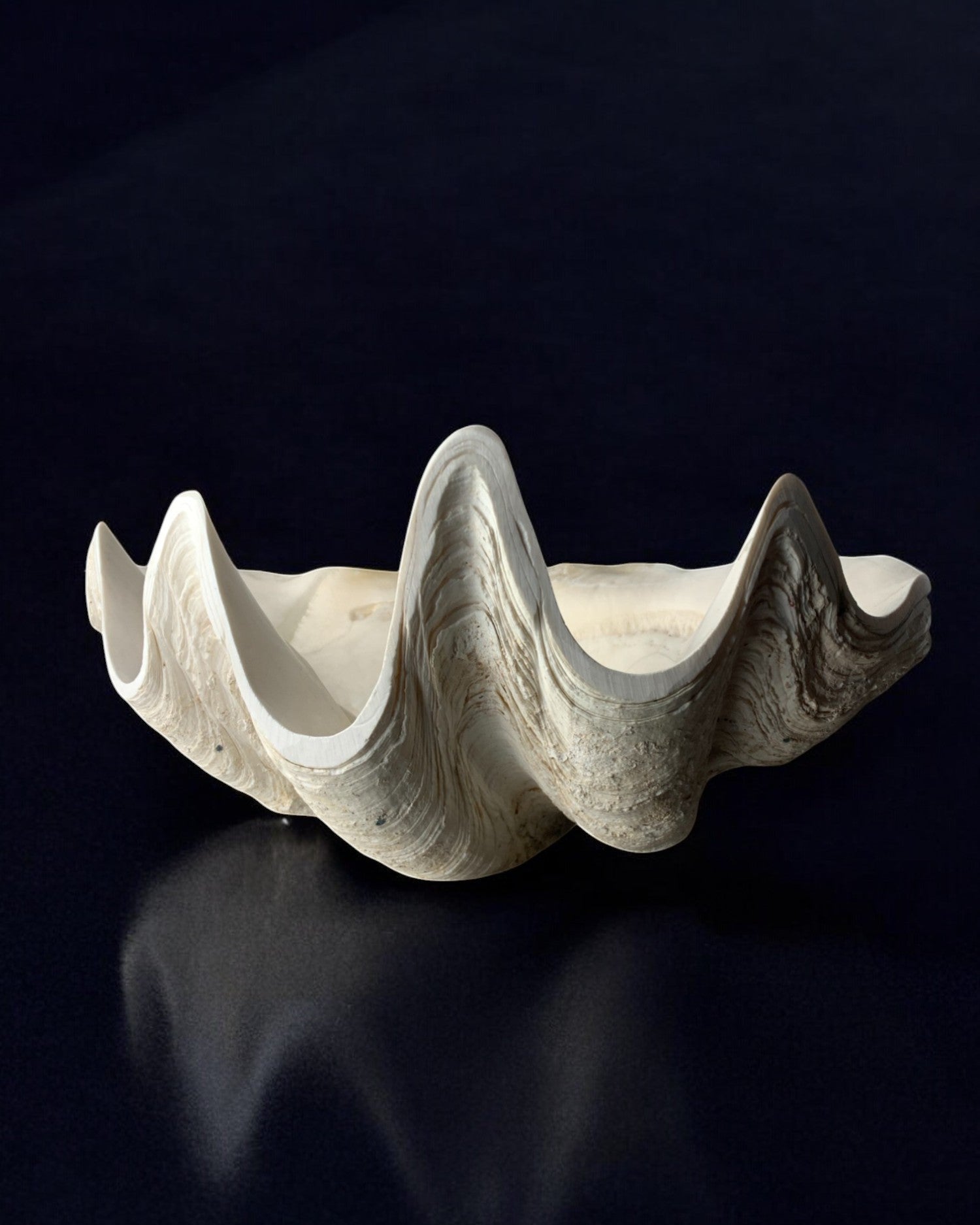 XL Shell Vide-poche in Plaster, Italy, 1970
