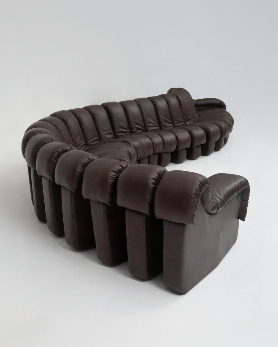 De Sede DS-600 'Snake' Sofa by Ueli Berger, Customised in Chocolate Nubuck — additional view