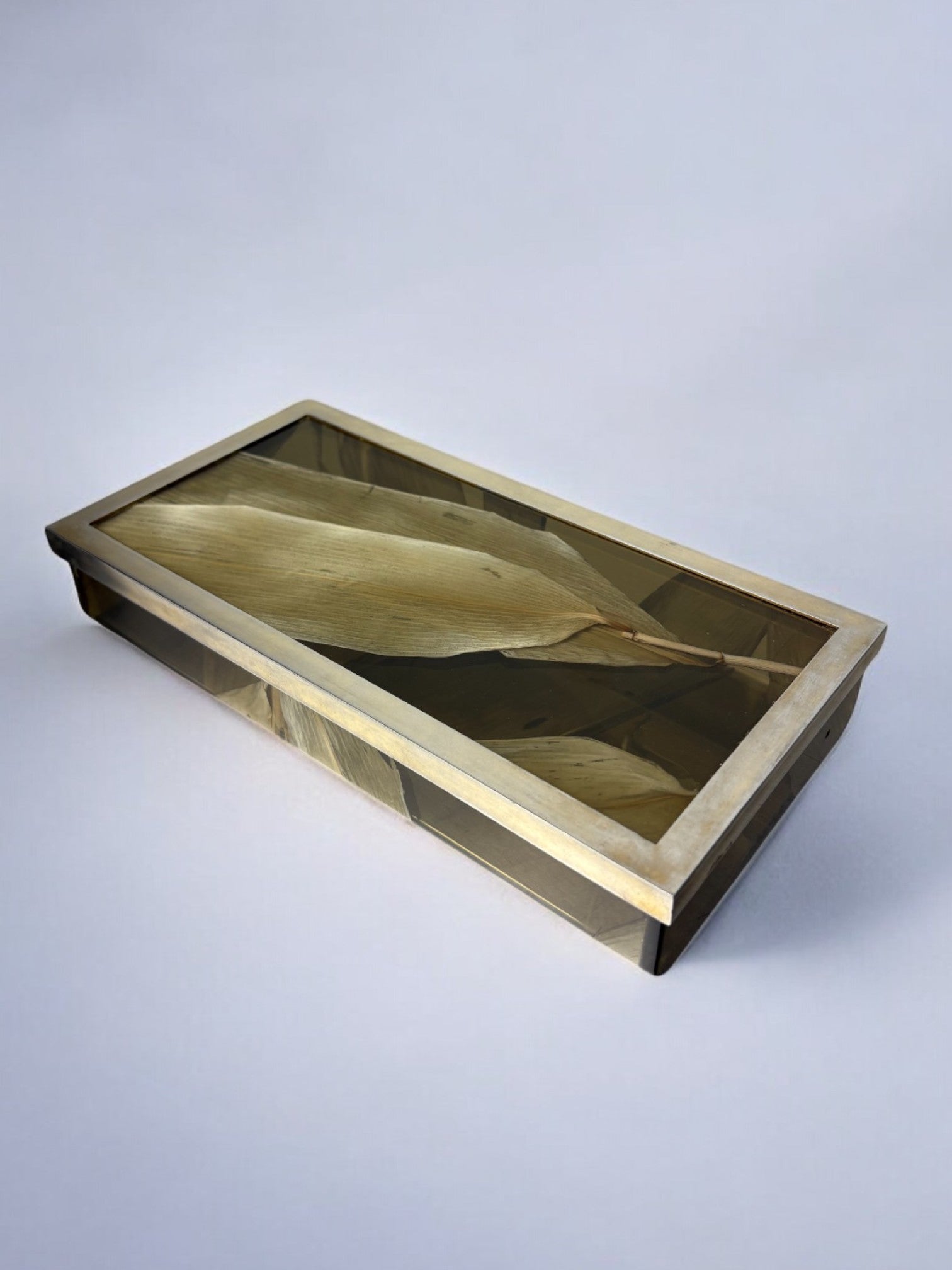 Aldo Tura Style vanity Box in Lucite, 1970's — side angle showing brass trim and wood interior