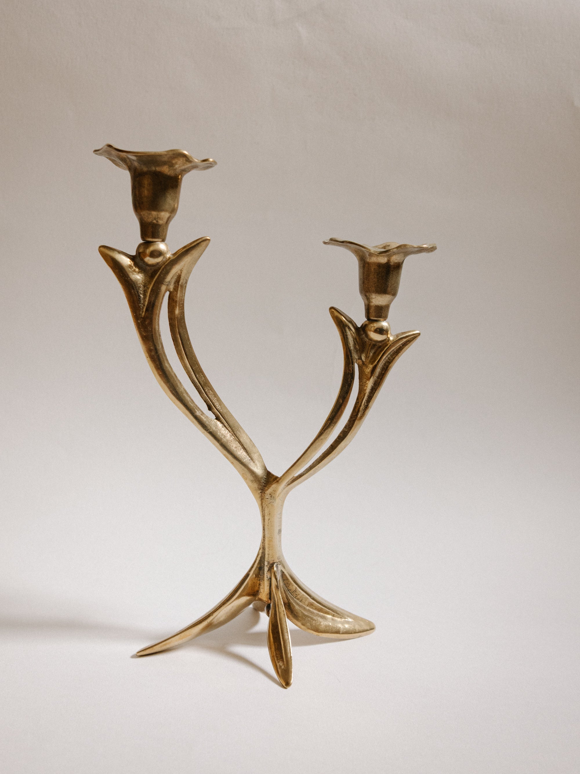 French Organic Flora Brass Candleholder — detail view