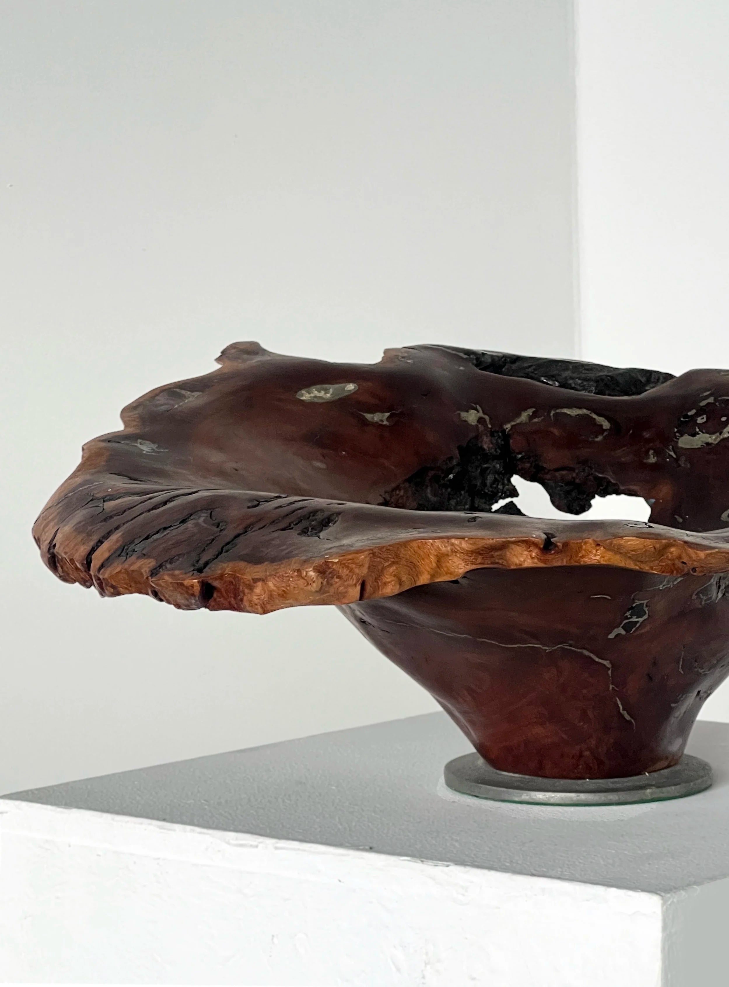 Australian Burl & Pewter bowl — detail view