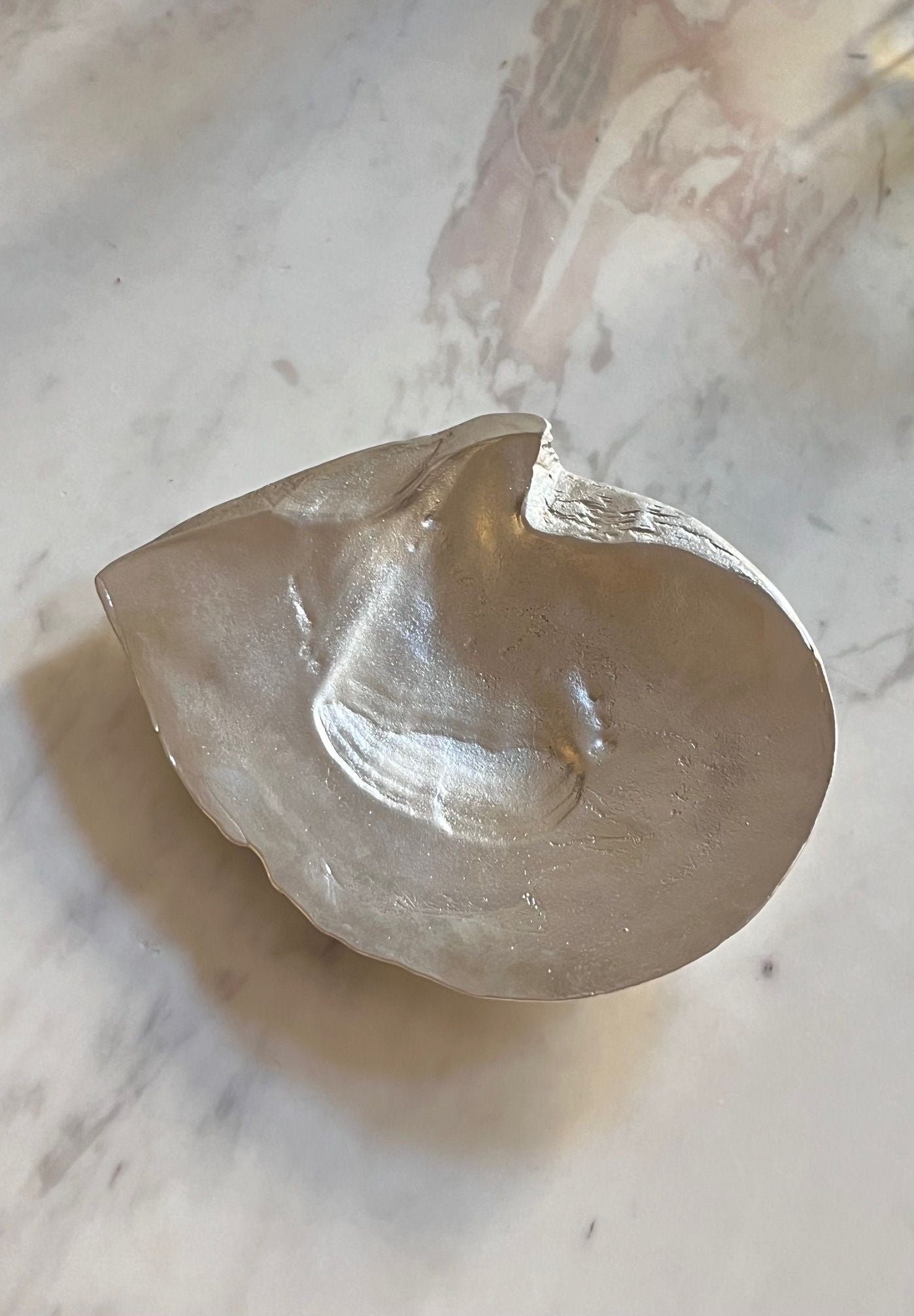 Oyster Shell Sculpture in Silver — alternate view