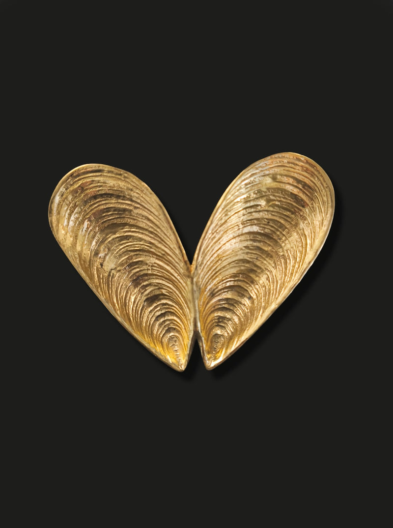 Brass Shell Vide Poche — close-up of polished brass texture