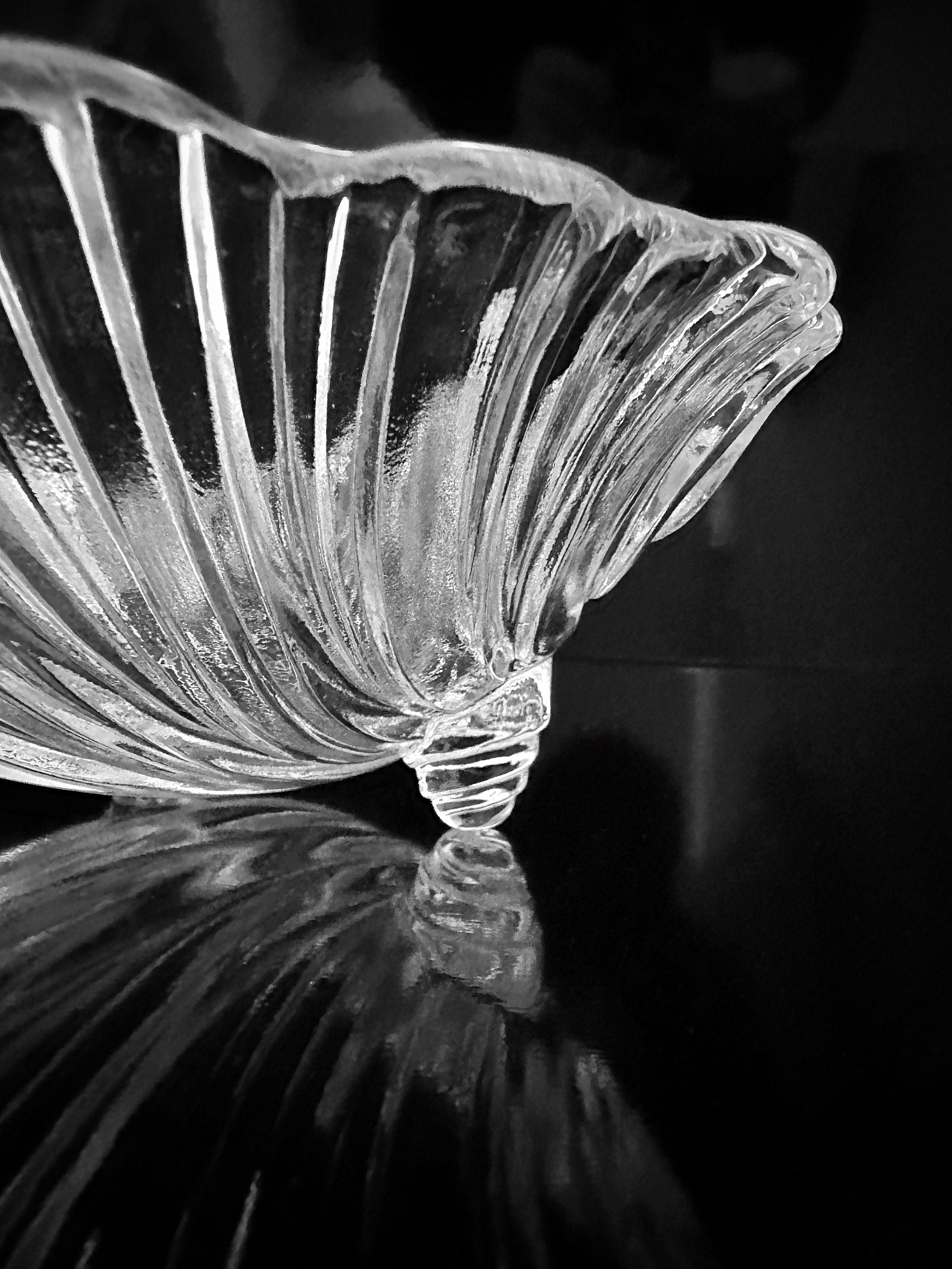 A close-up black and white photo features a Dodo Vintage 1980s Shell Shaped Glass Bowl, showing intricate textured lines and reflections as it rests on its side atop a shiny, dark surface.