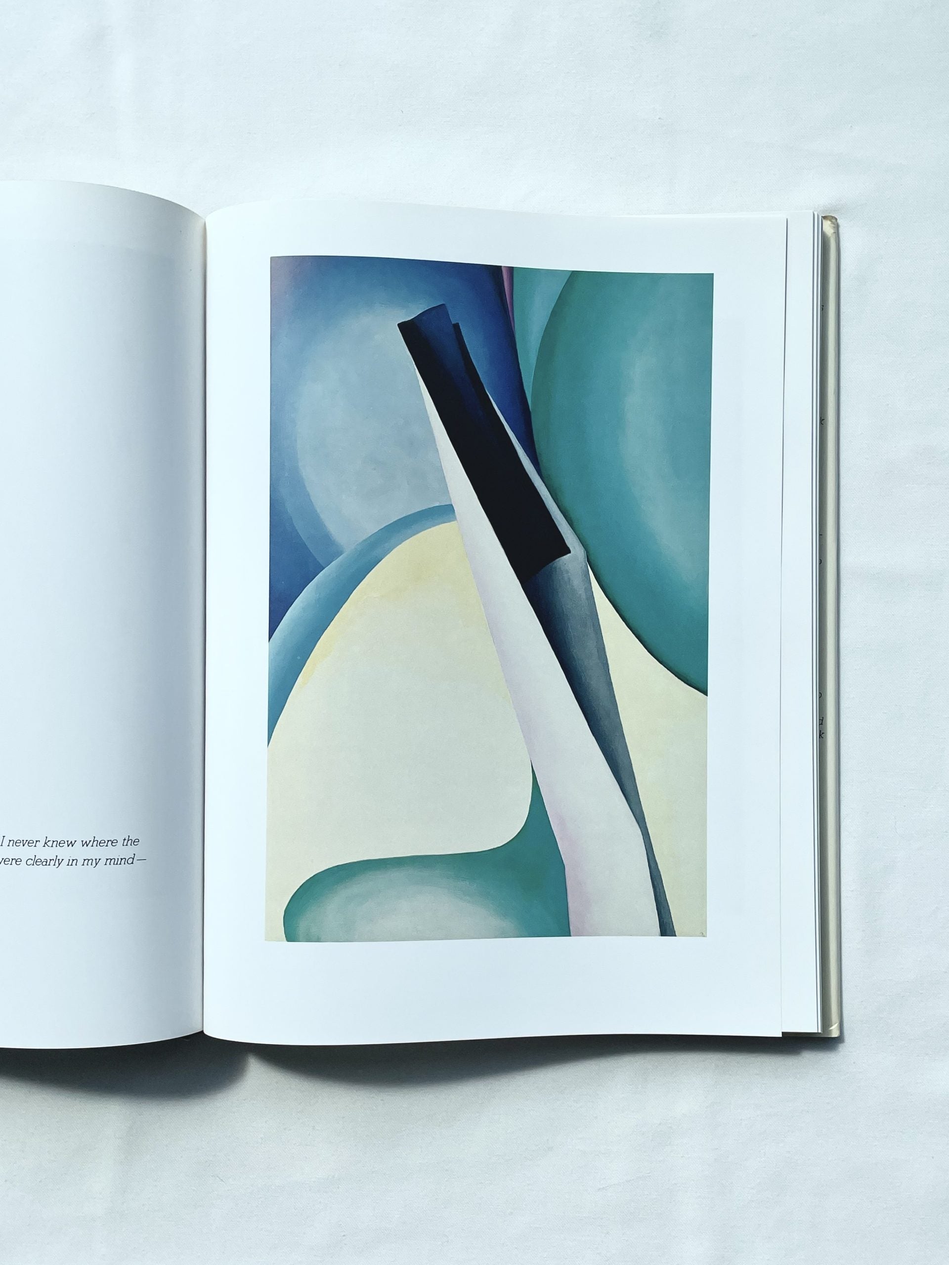 Book Georgia O'Keeffe — detail view
