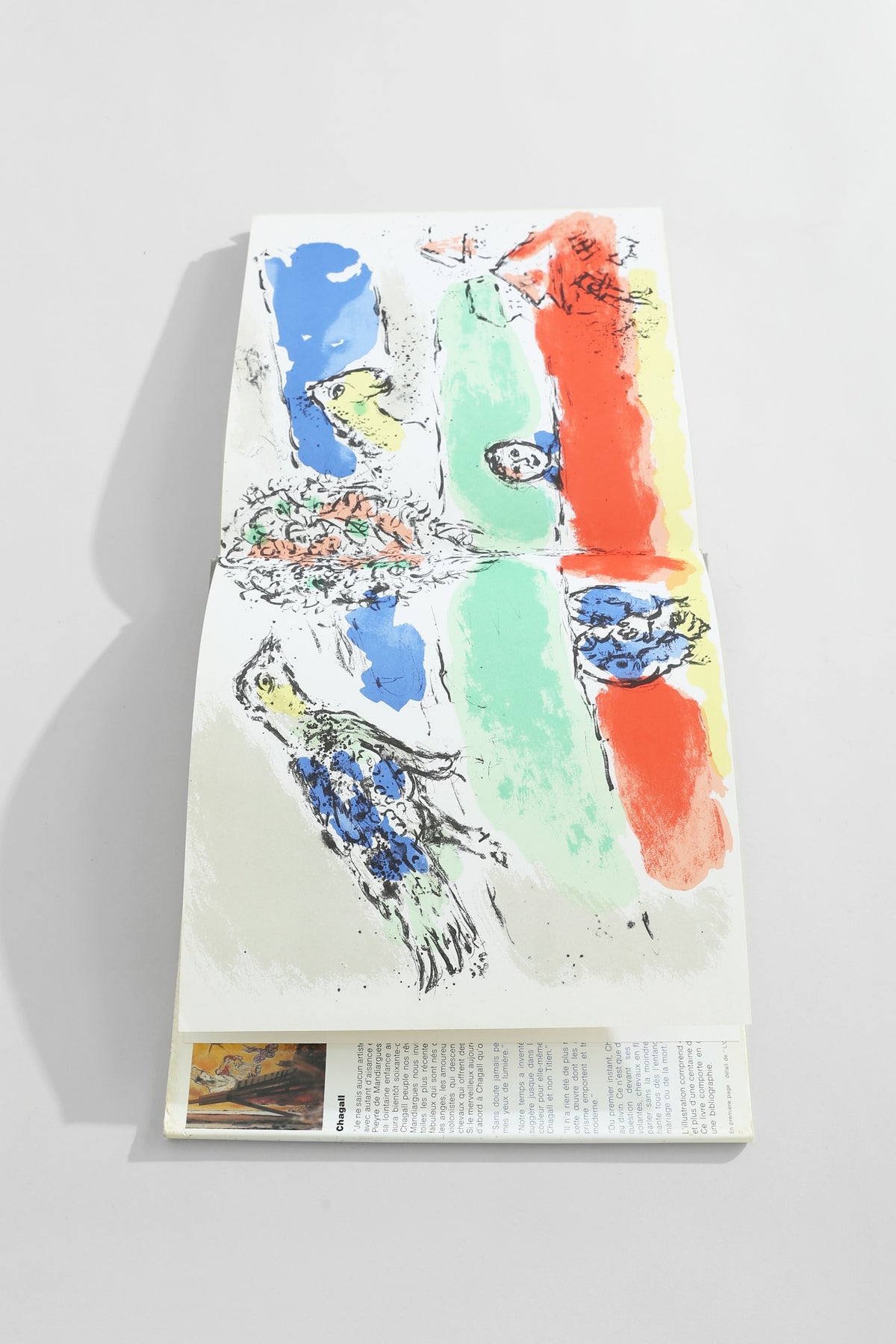 Chagall Book — lifestyle setting