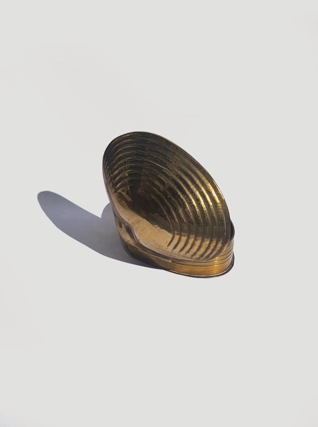 Shell Brass Box — lifestyle setting