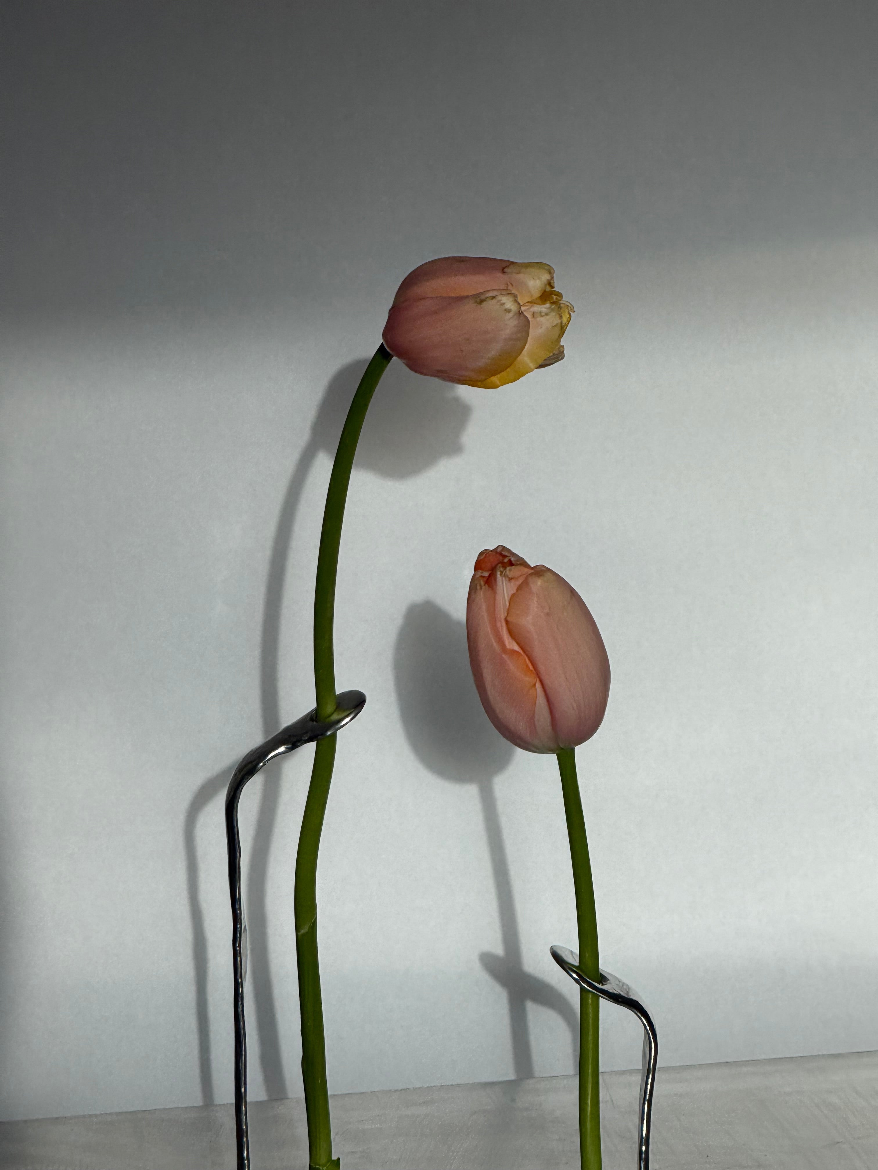 Favorite vase — Set 06 — side angle
