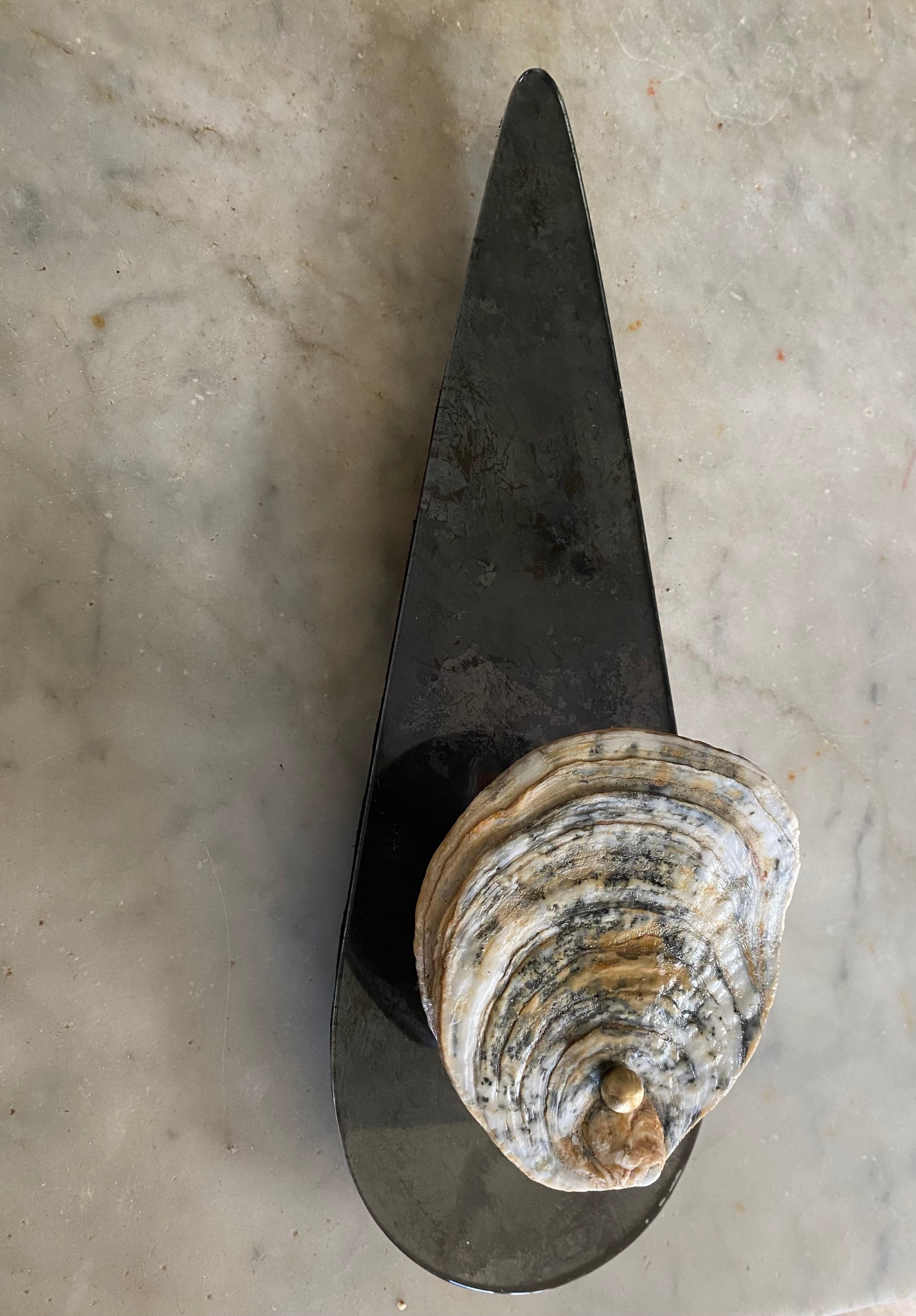 Tear Drop Sconce with Norfolk Oyster, 23KT Gold and Oxidised Silver — overhead view on marble surface