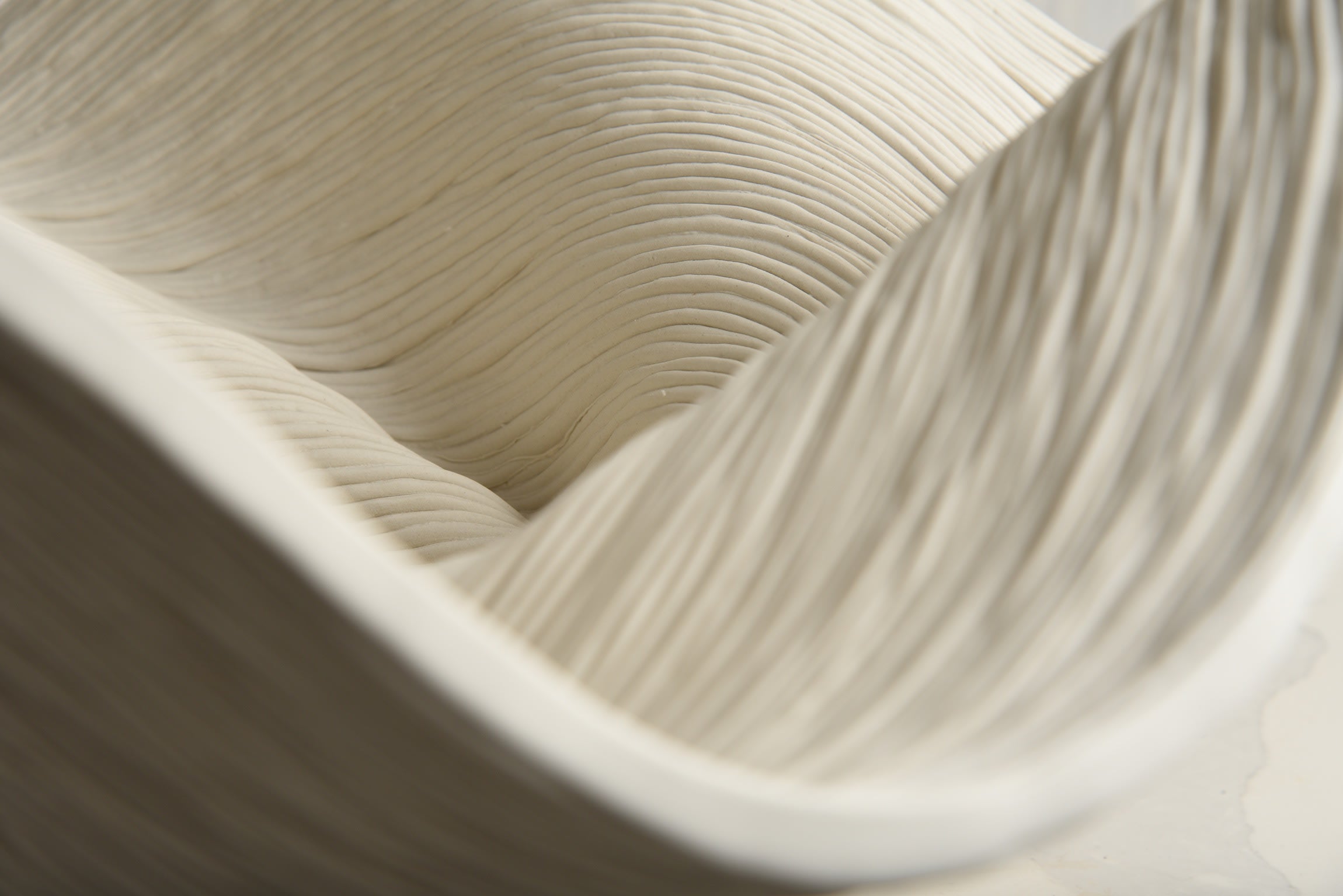 Wide Porcelain Bowl — side angle
