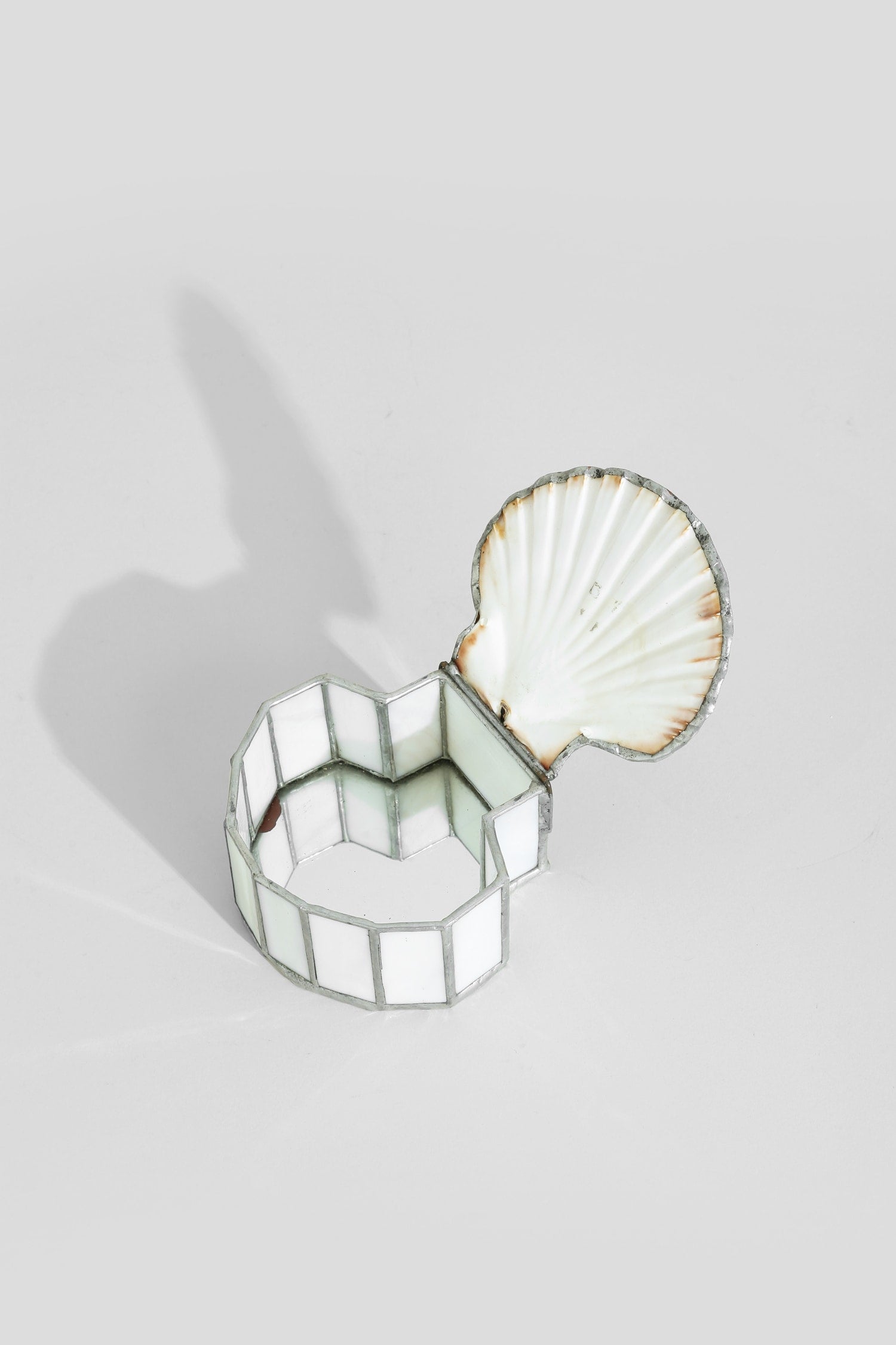 Scallop Shell Jewelry Box — side angle