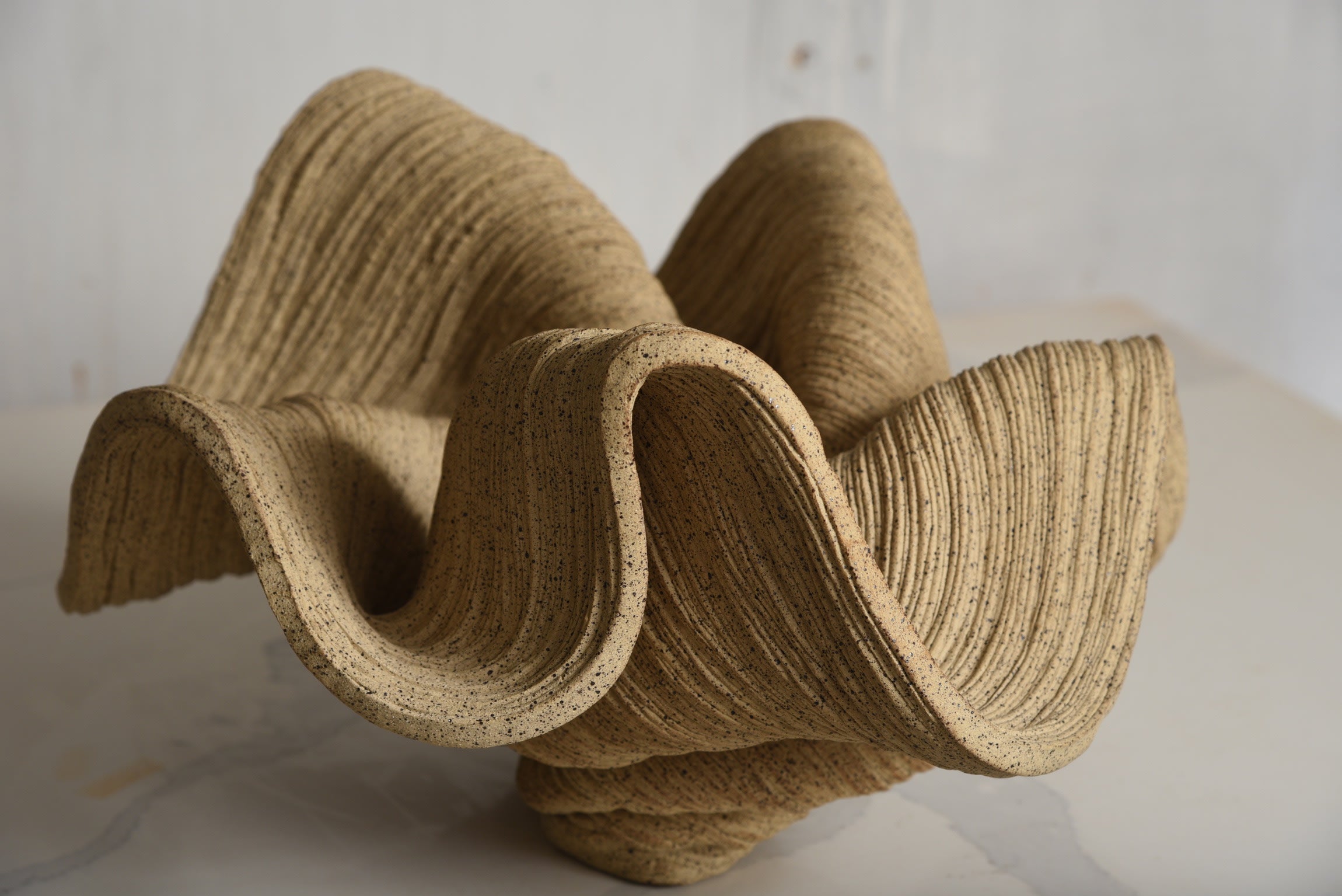 Wide Speckled Bowl — in context