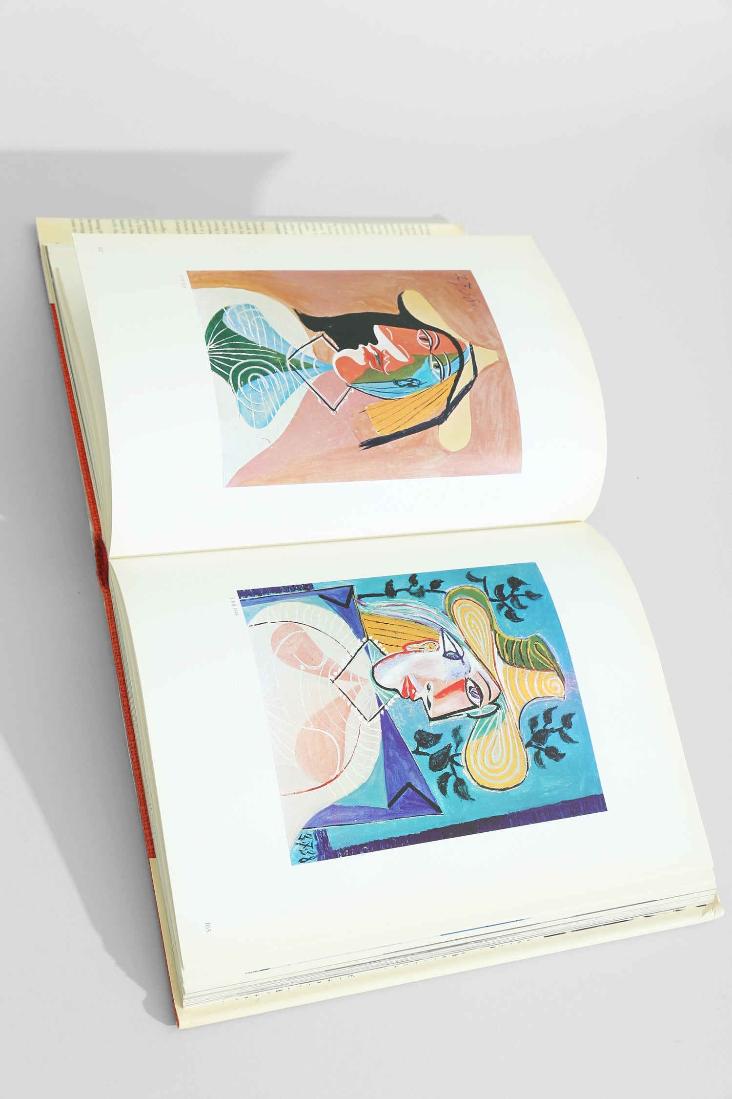 Goodbye Picasso Book — detail view
