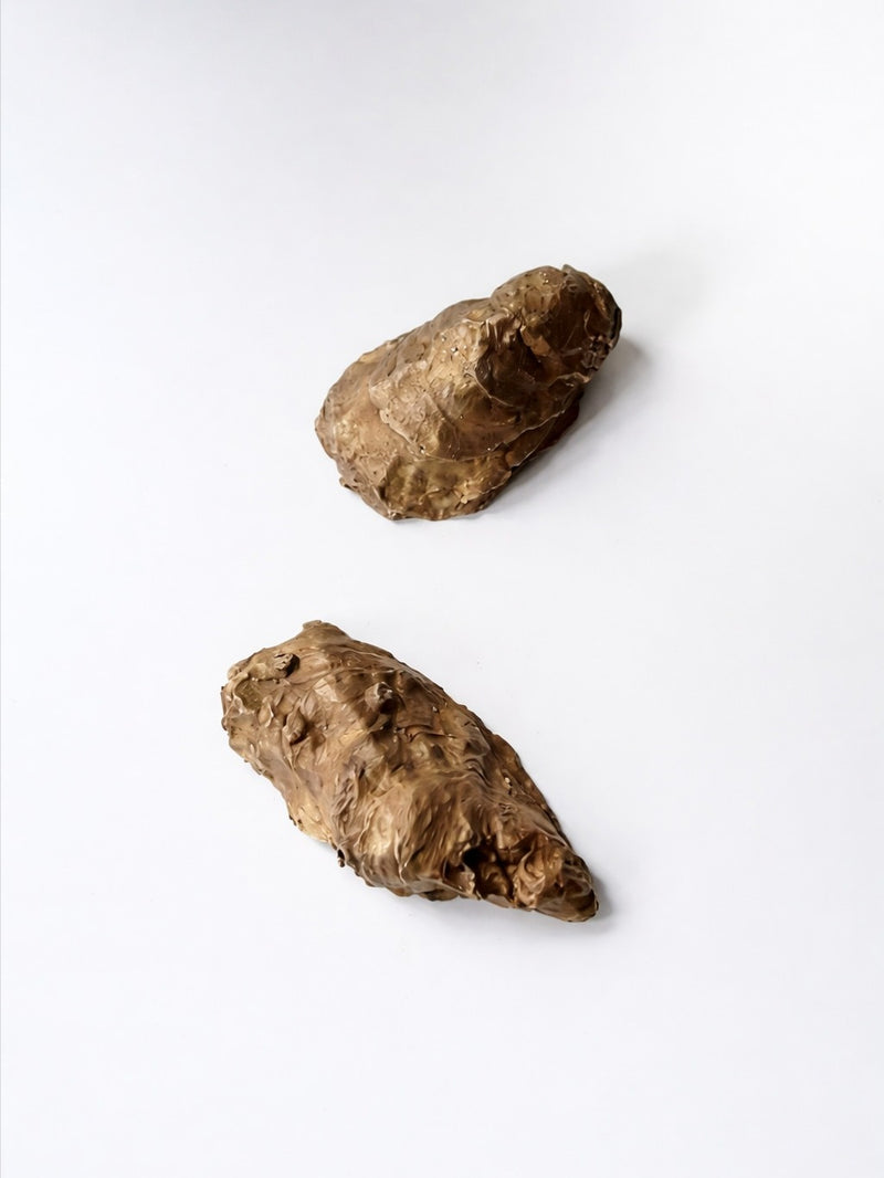 Pair of Bronze Oyster Sculptures  — detail view
