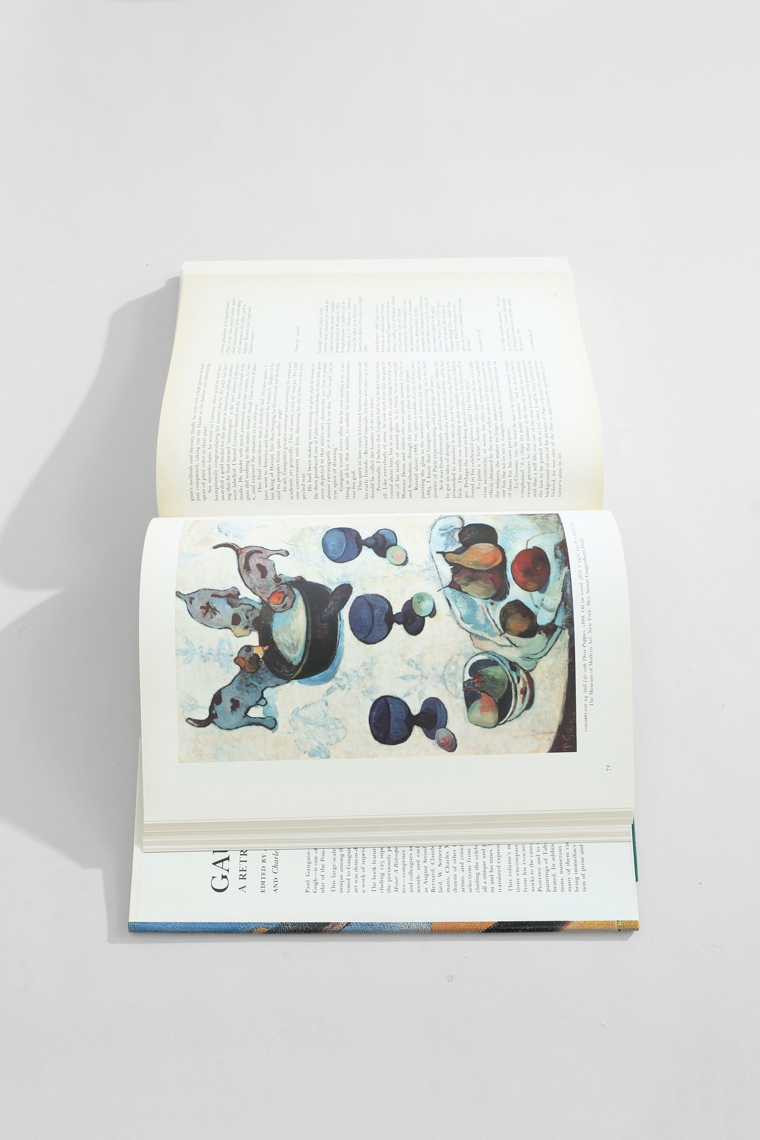 Gauguin: A Retrospective Book — open pages with colorful artwork detail