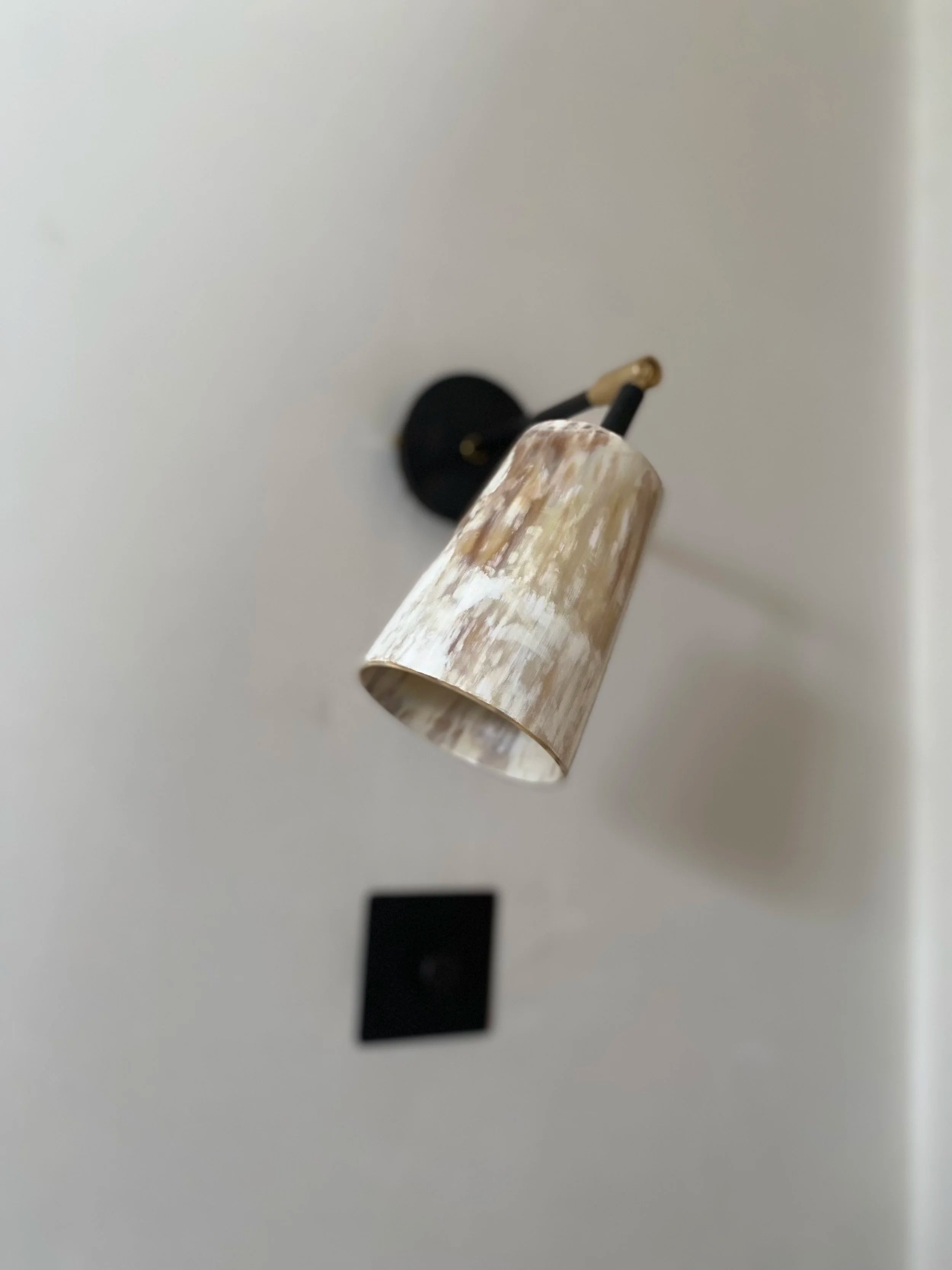 Horn Wall Light in Brass — close-up
