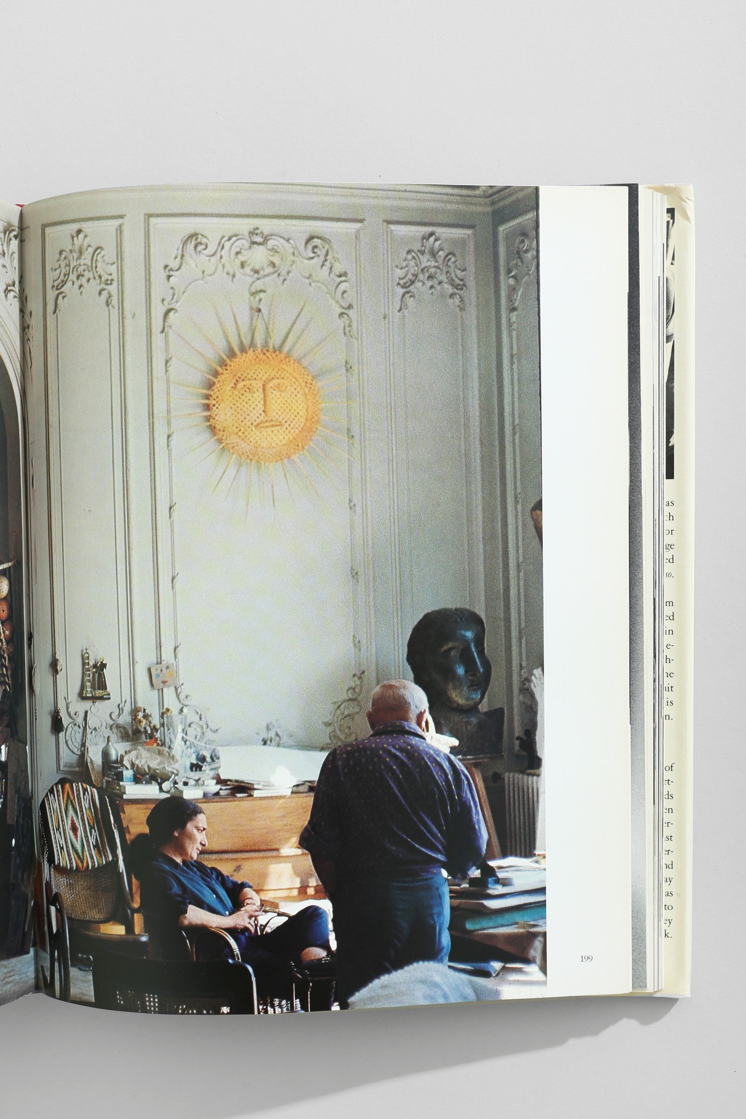Goodbye Picasso Book — alternate view