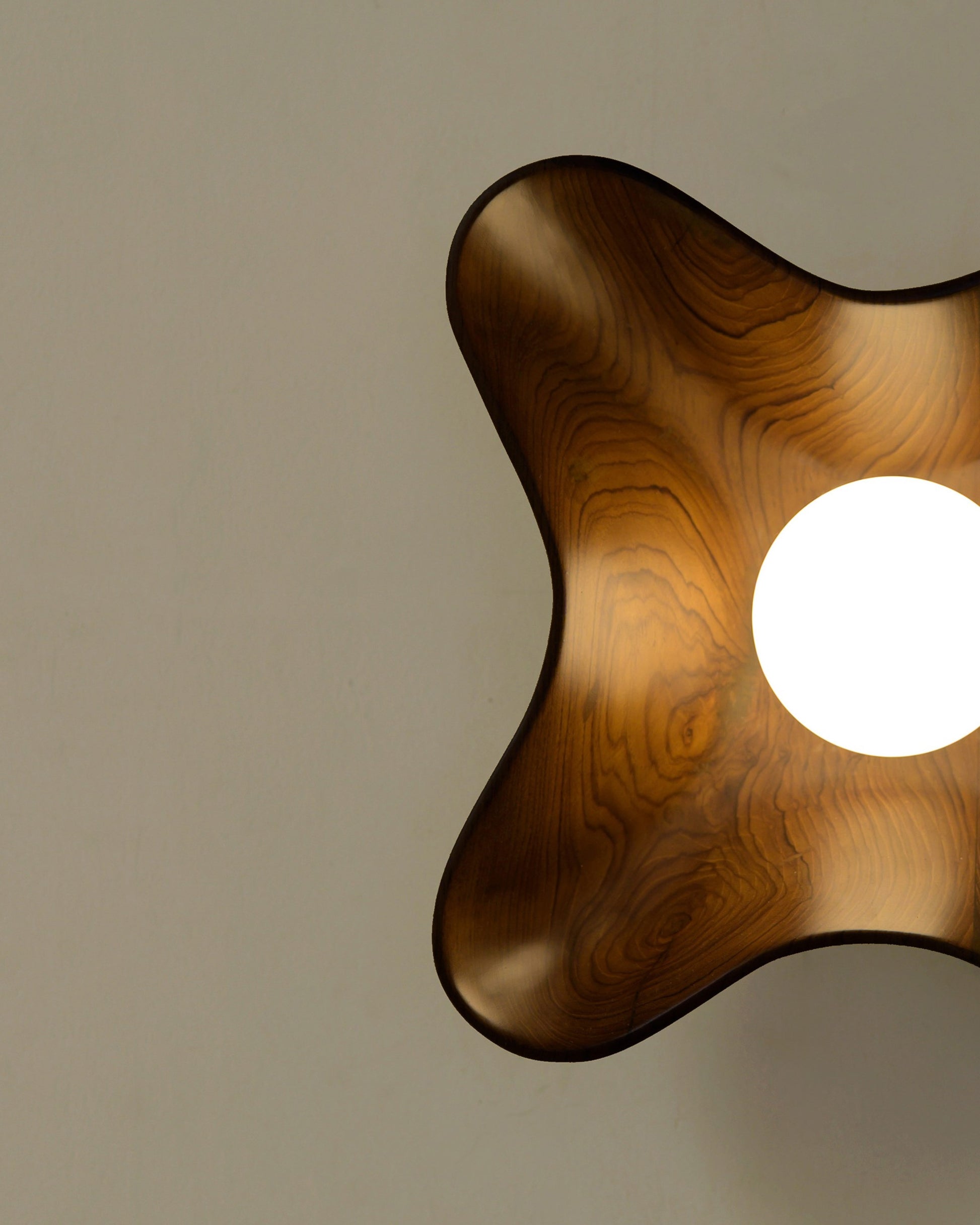 Compass Globe Wall Light — overhead view of curved wooden design