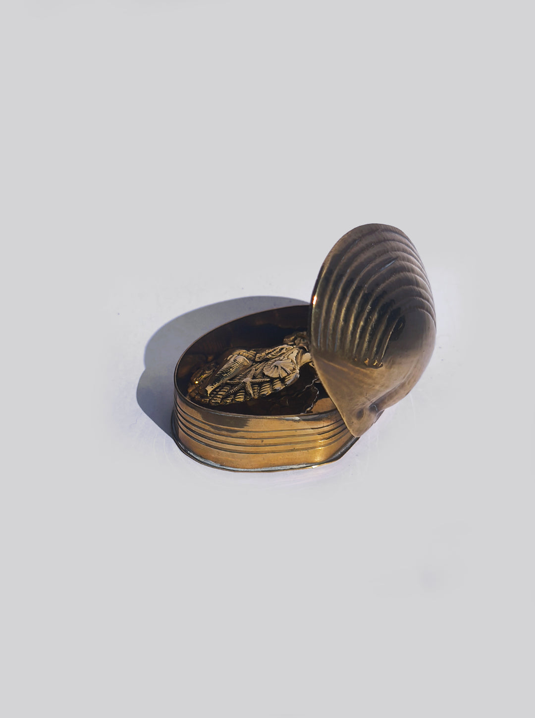 Shell Brass Box — side angle